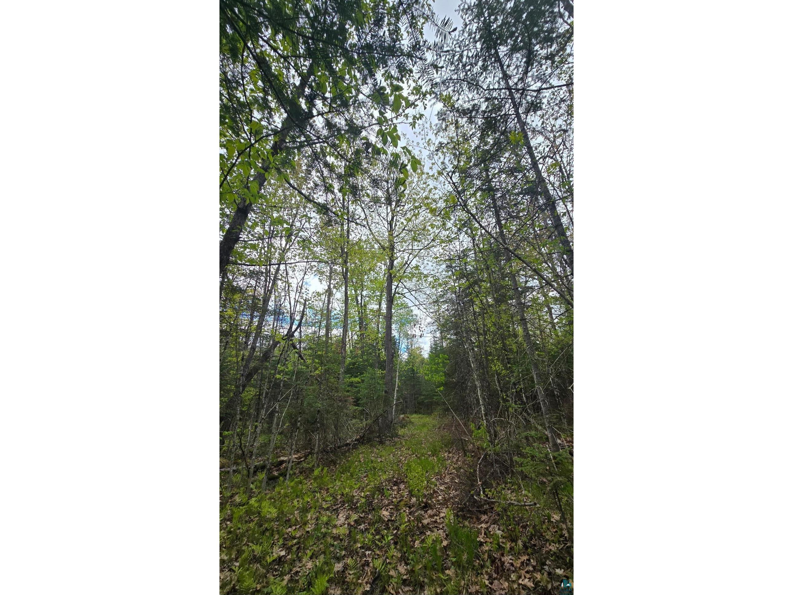 9790 S State Hwy 35 Foxboro WI 54836 6119715 image1