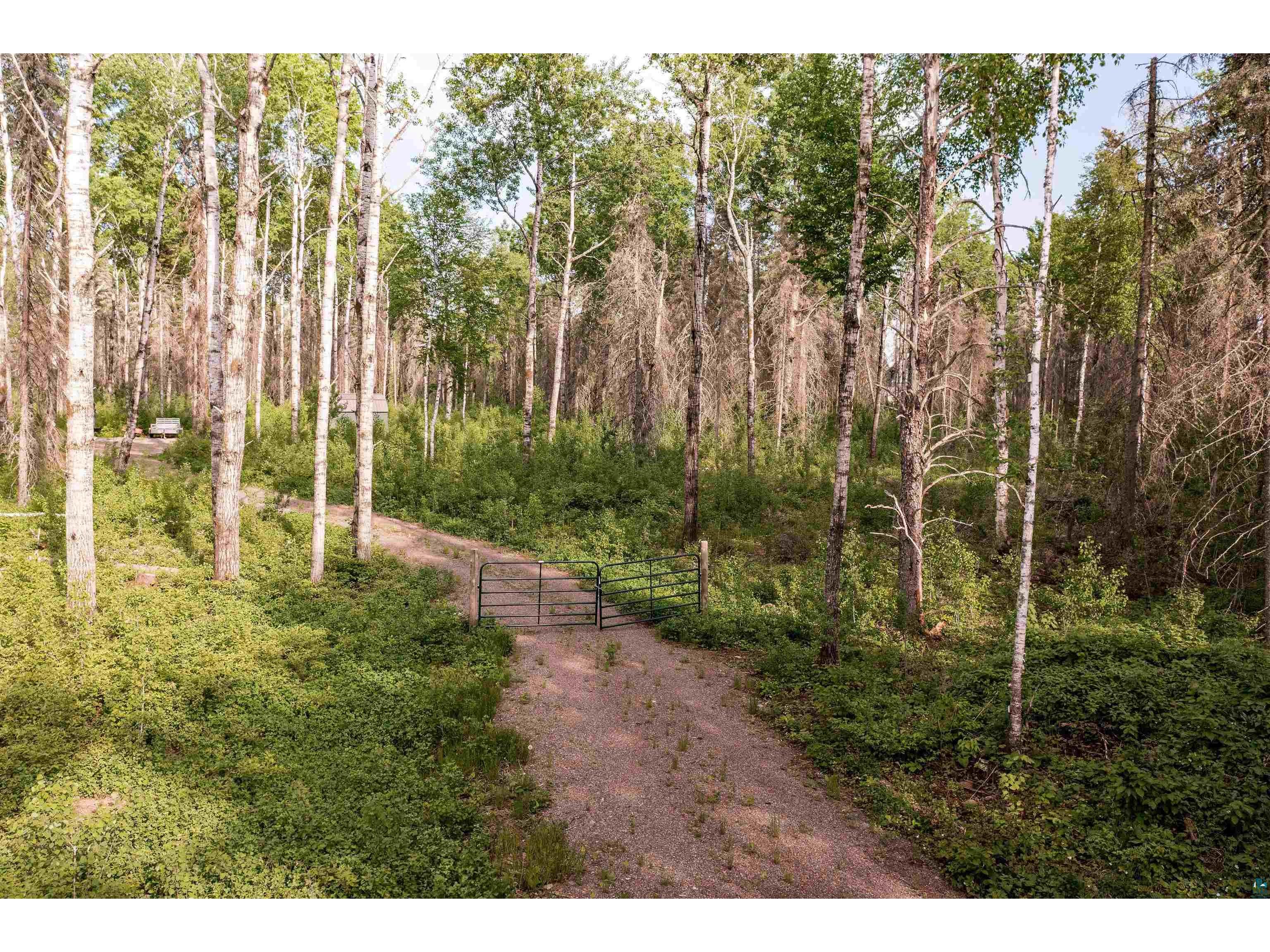 9884 Fredrickson Rd, Isabella, MN, 55607 MLS 6106778 Edina Realty