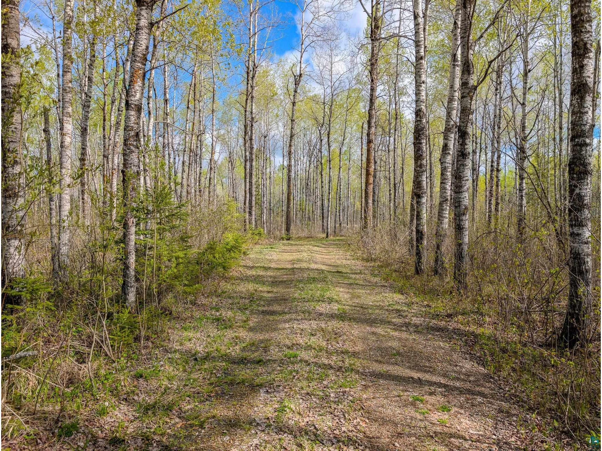 992 Nemadji River Rd Holyoke MN 55749 - South Fork 6125548 image5