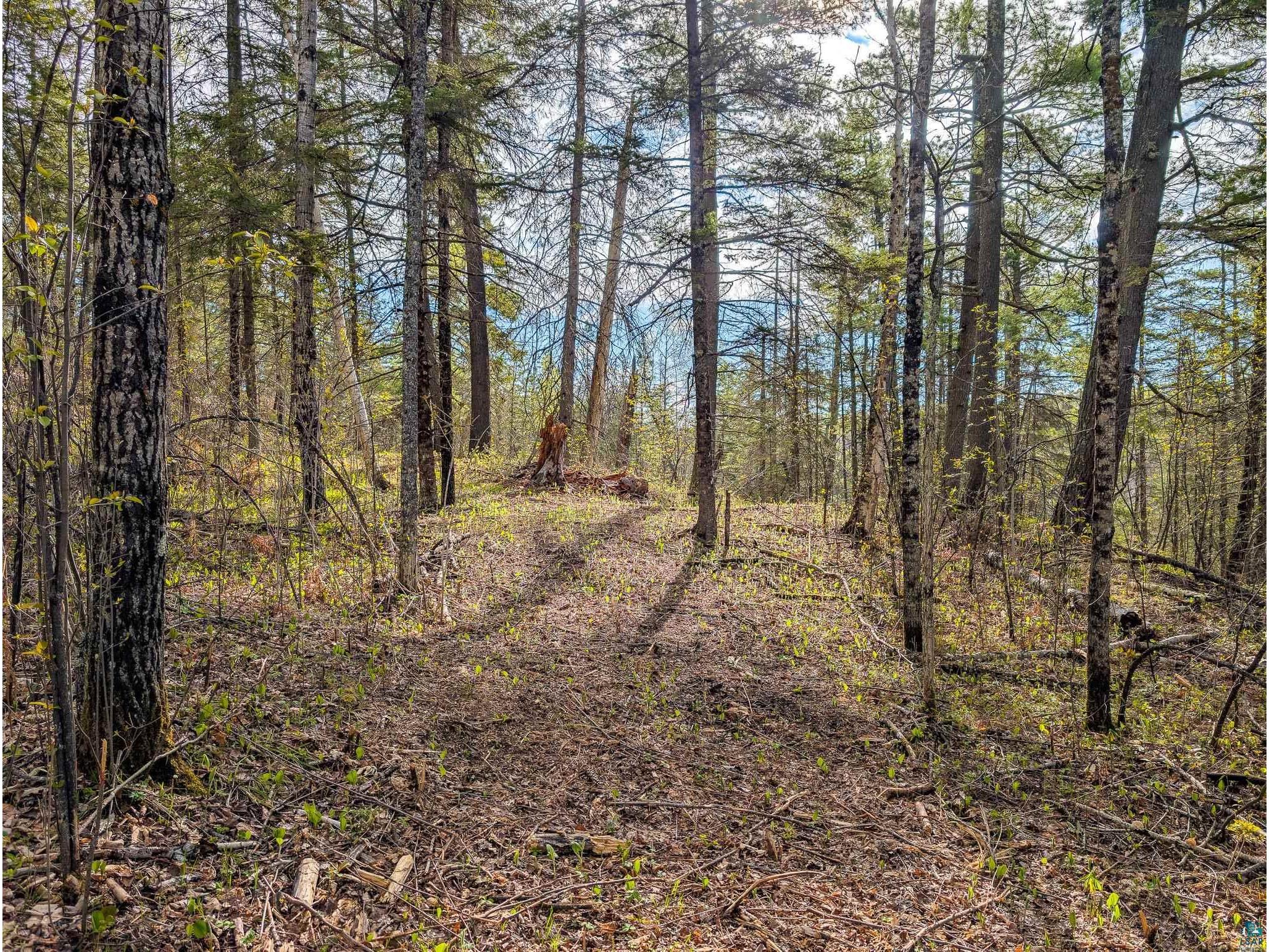 992 Nemadji River Rd Holyoke MN 55749 - South Fork 6125548 image7