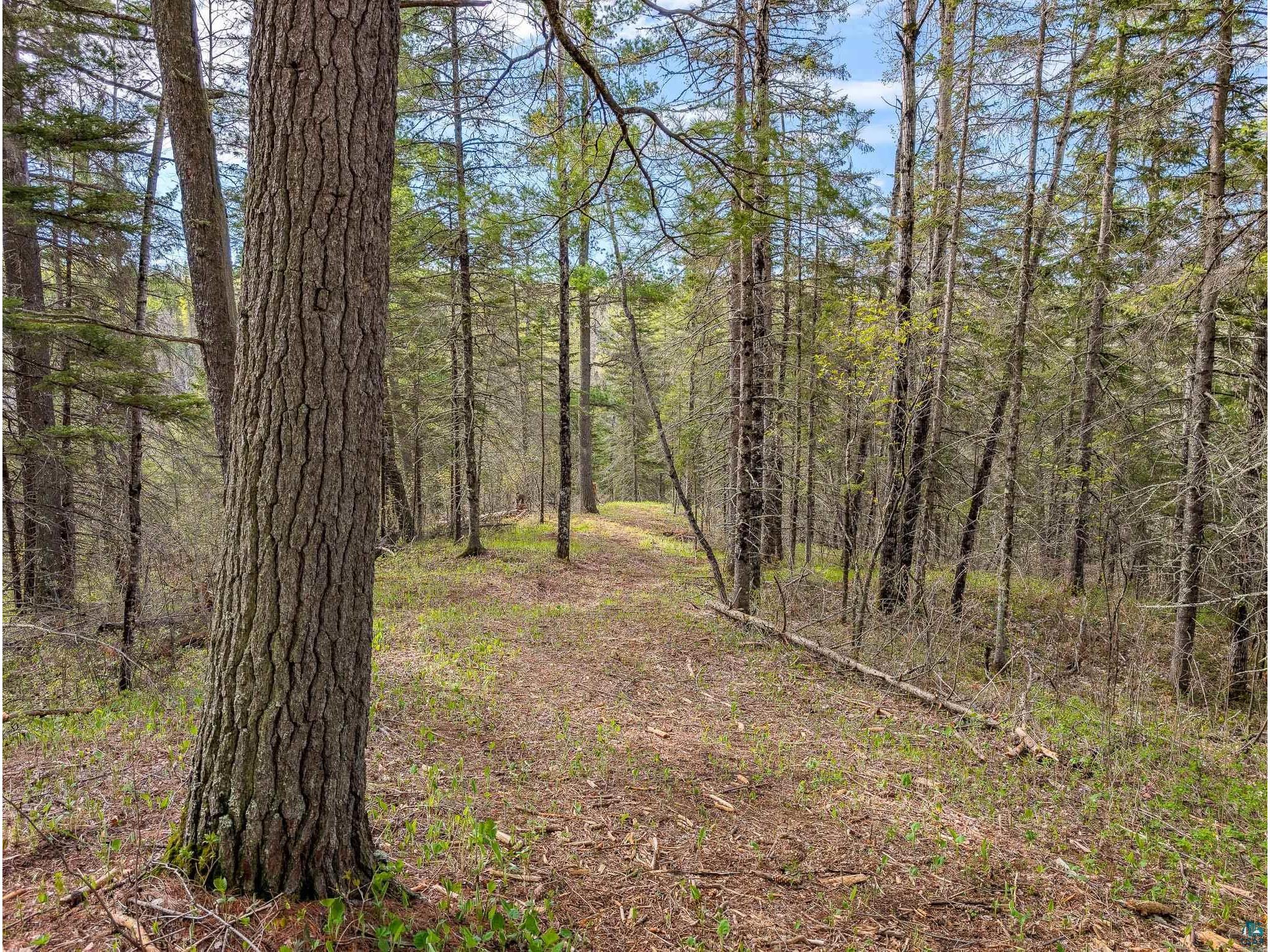 992 Nemadji River Rd Holyoke MN 55749 - South Fork 6125548 image8