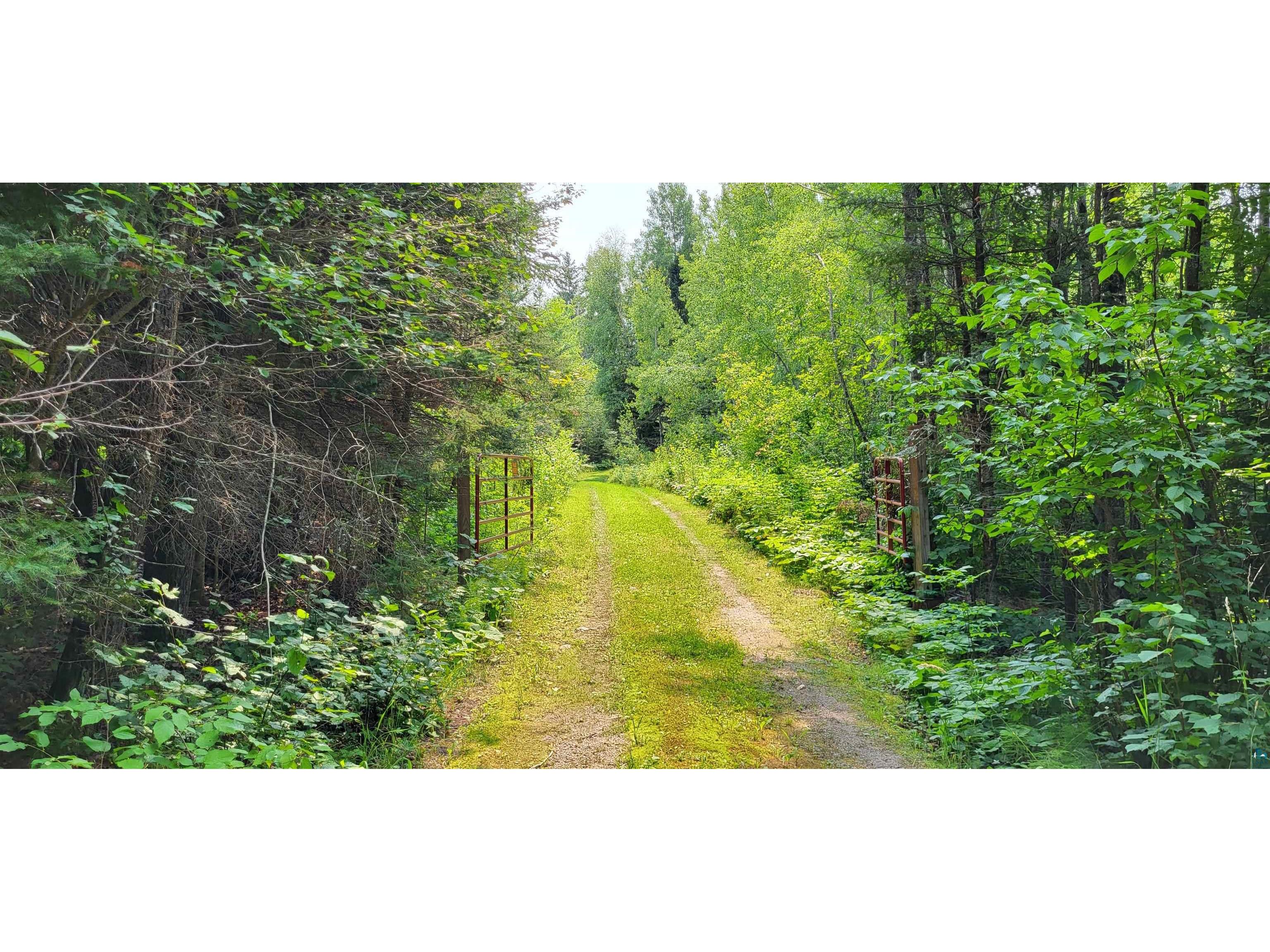 9986 Orr Buyck Rd Orr MN 55771 6109731 image1