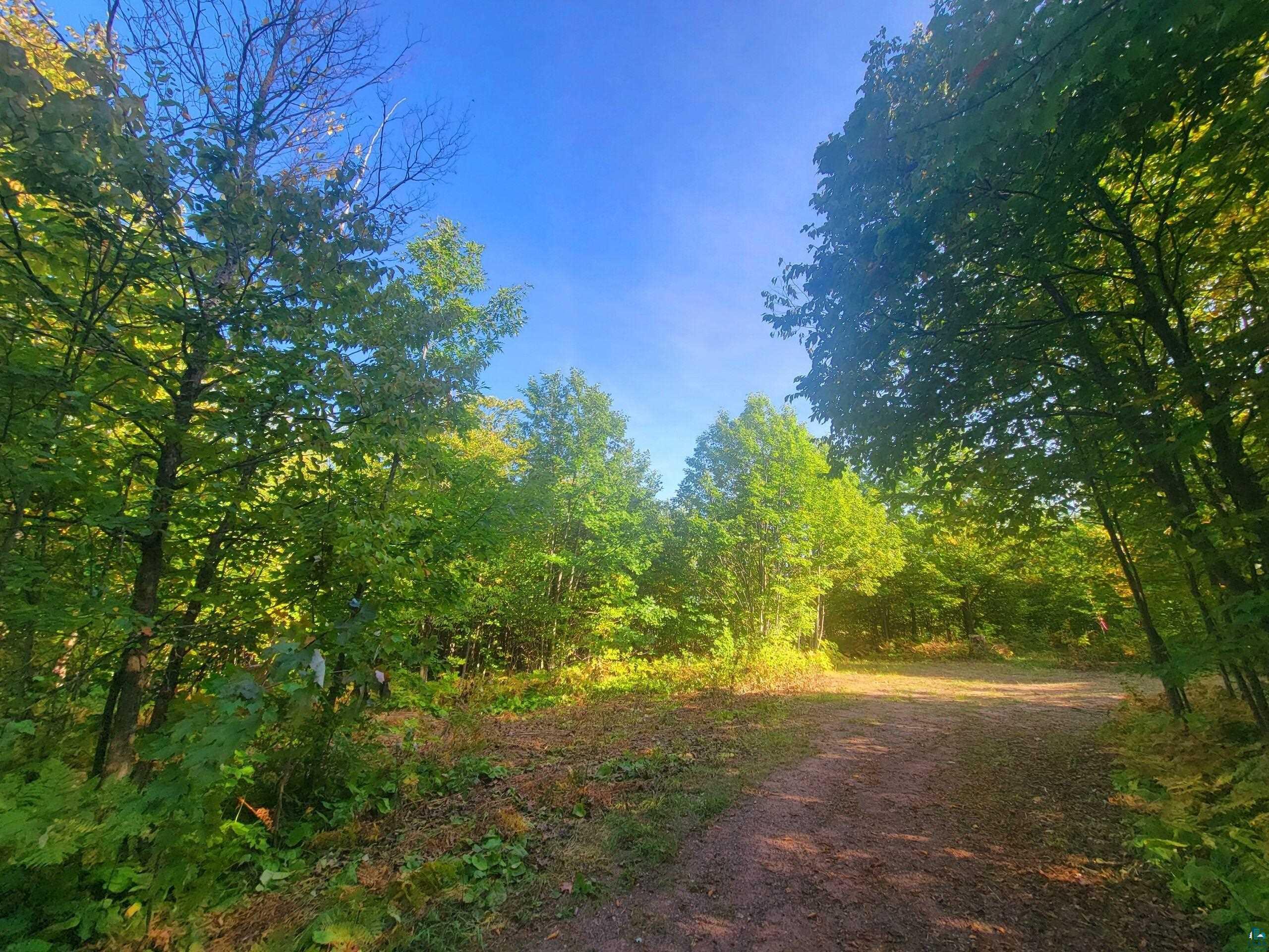 99xxx Peterson Hill Rd Bayfield WI 54814 6116185 image1