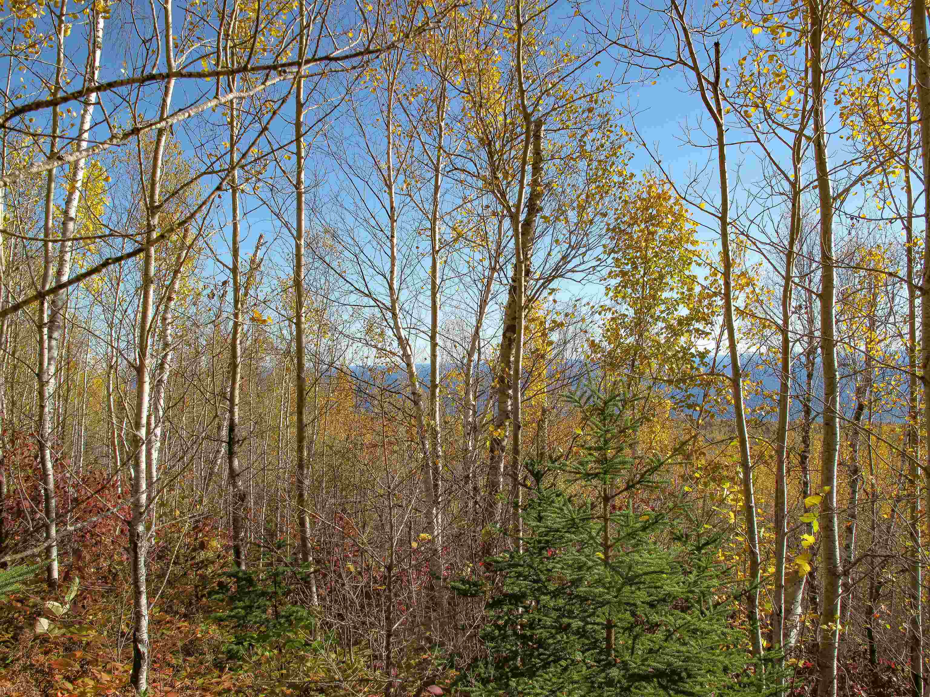 ABC Bally Creek Rd Grand Marais MN 55604 6122477 image15