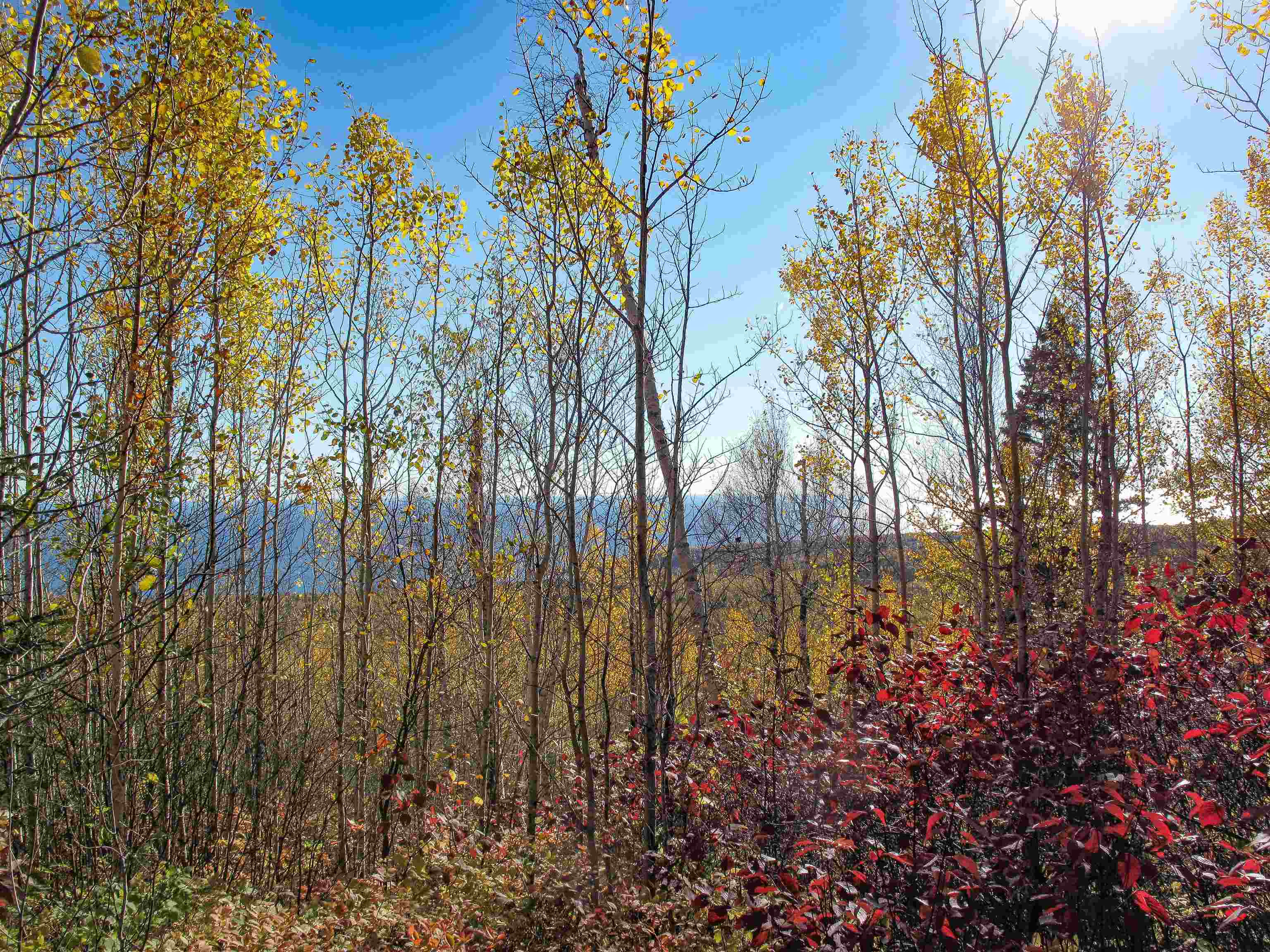 ABC Bally Creek Rd Grand Marais MN 55604 6122477 image16