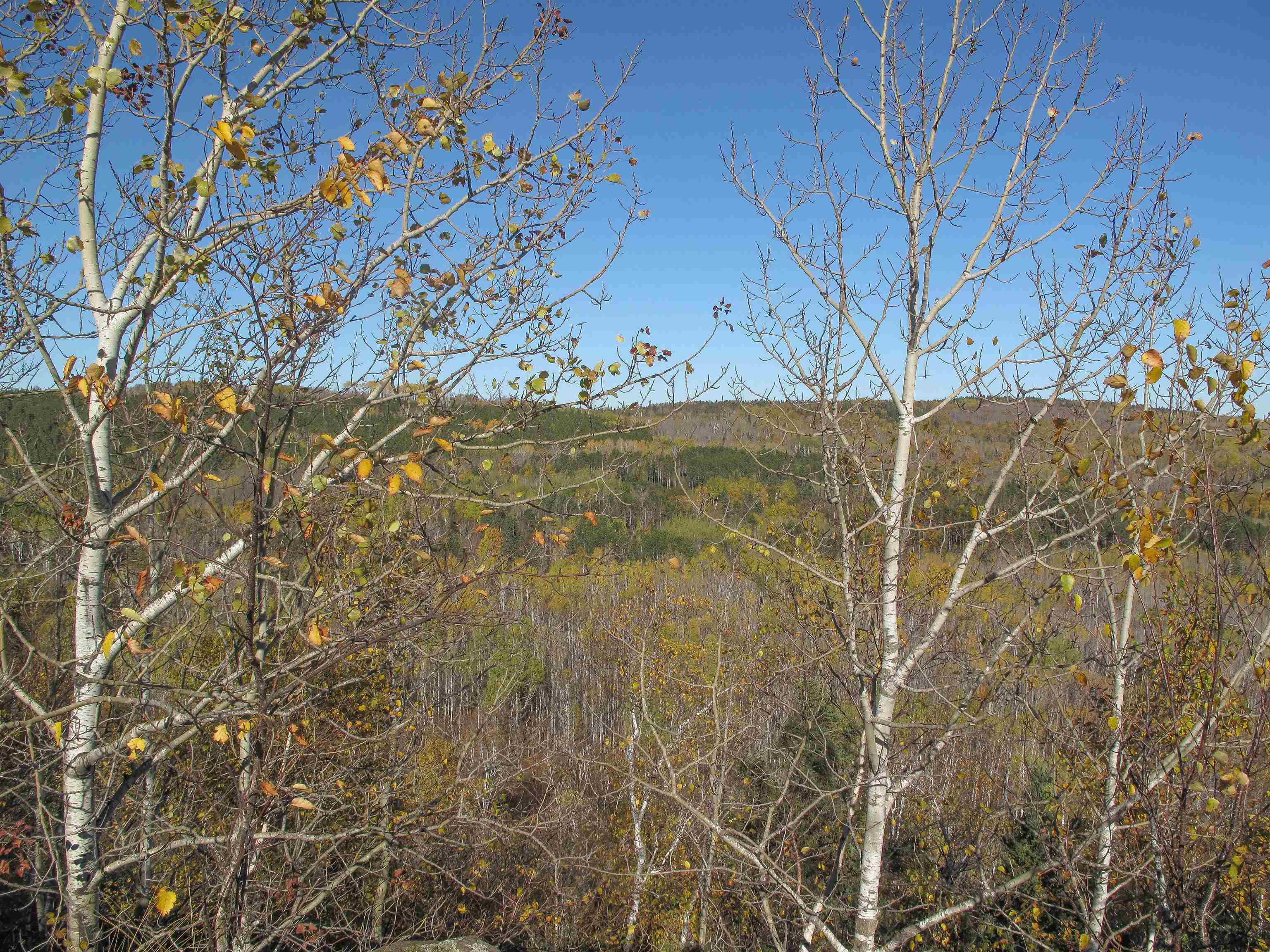 ABC Bally Creek Rd Grand Marais MN 55604 6122477 image24