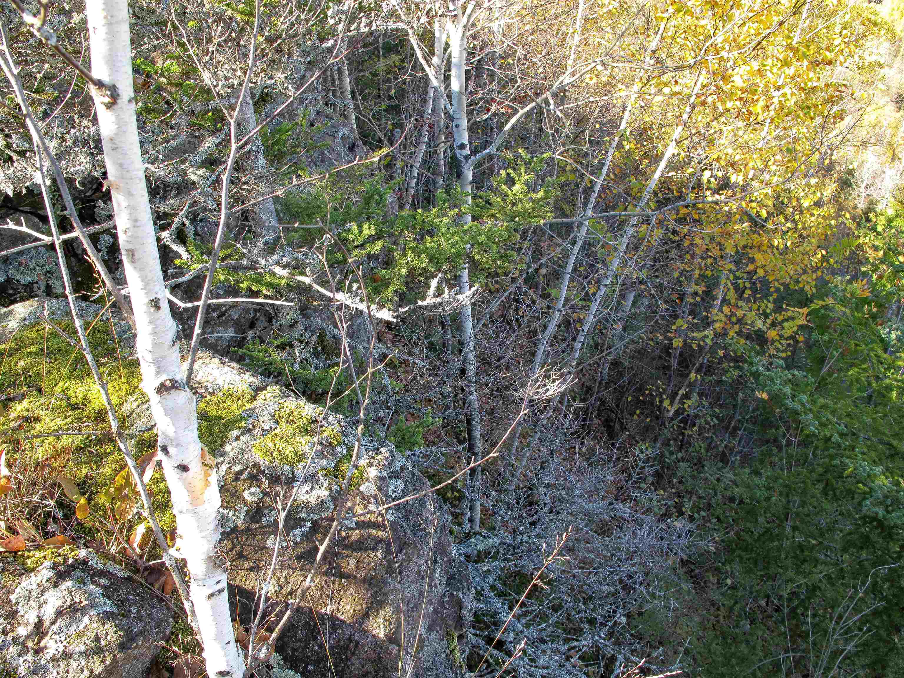 ABC Bally Creek Rd Grand Marais MN 55604 6122477 image26