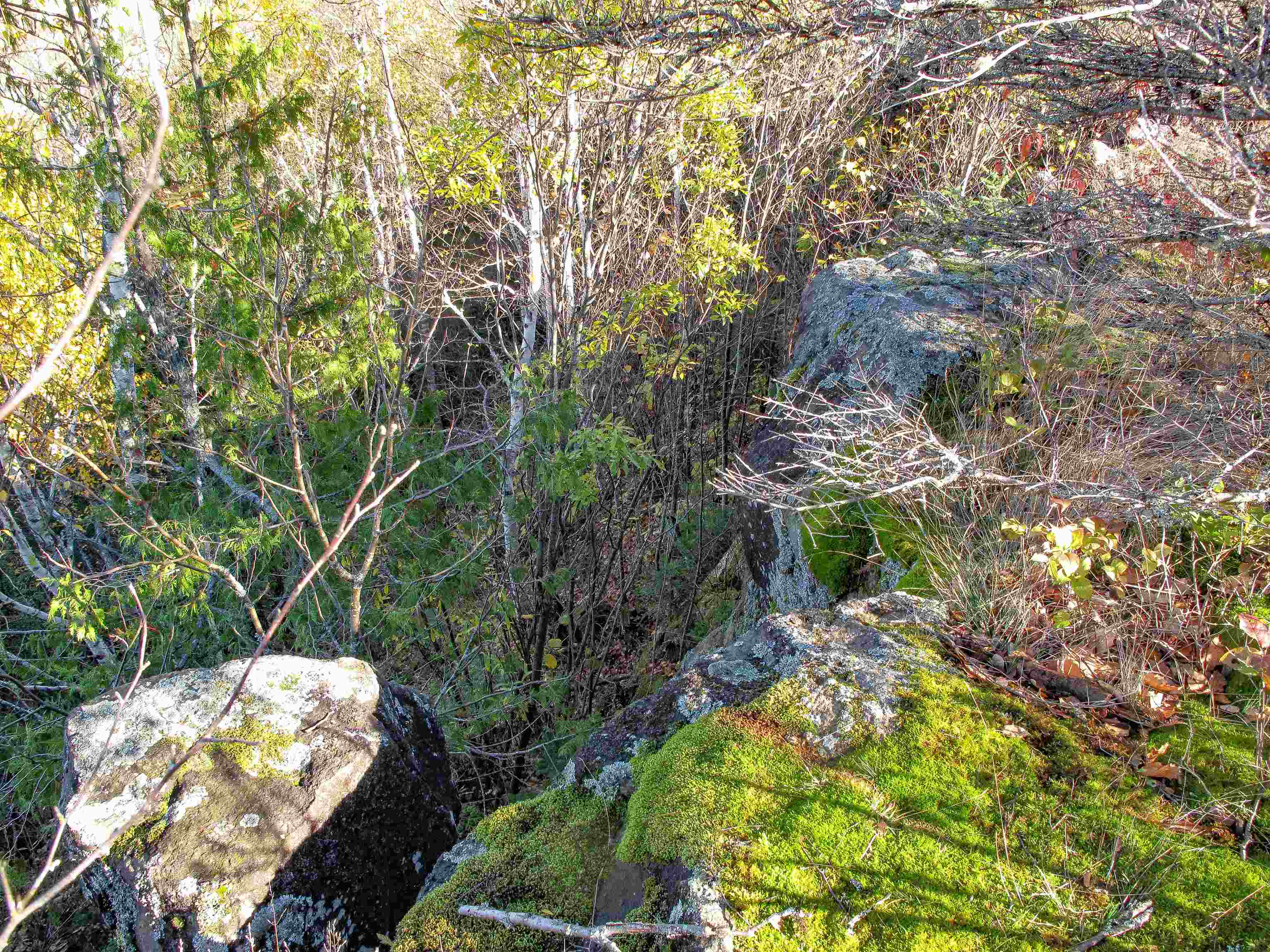 ABC Bally Creek Rd Grand Marais MN 55604 6122477 image27