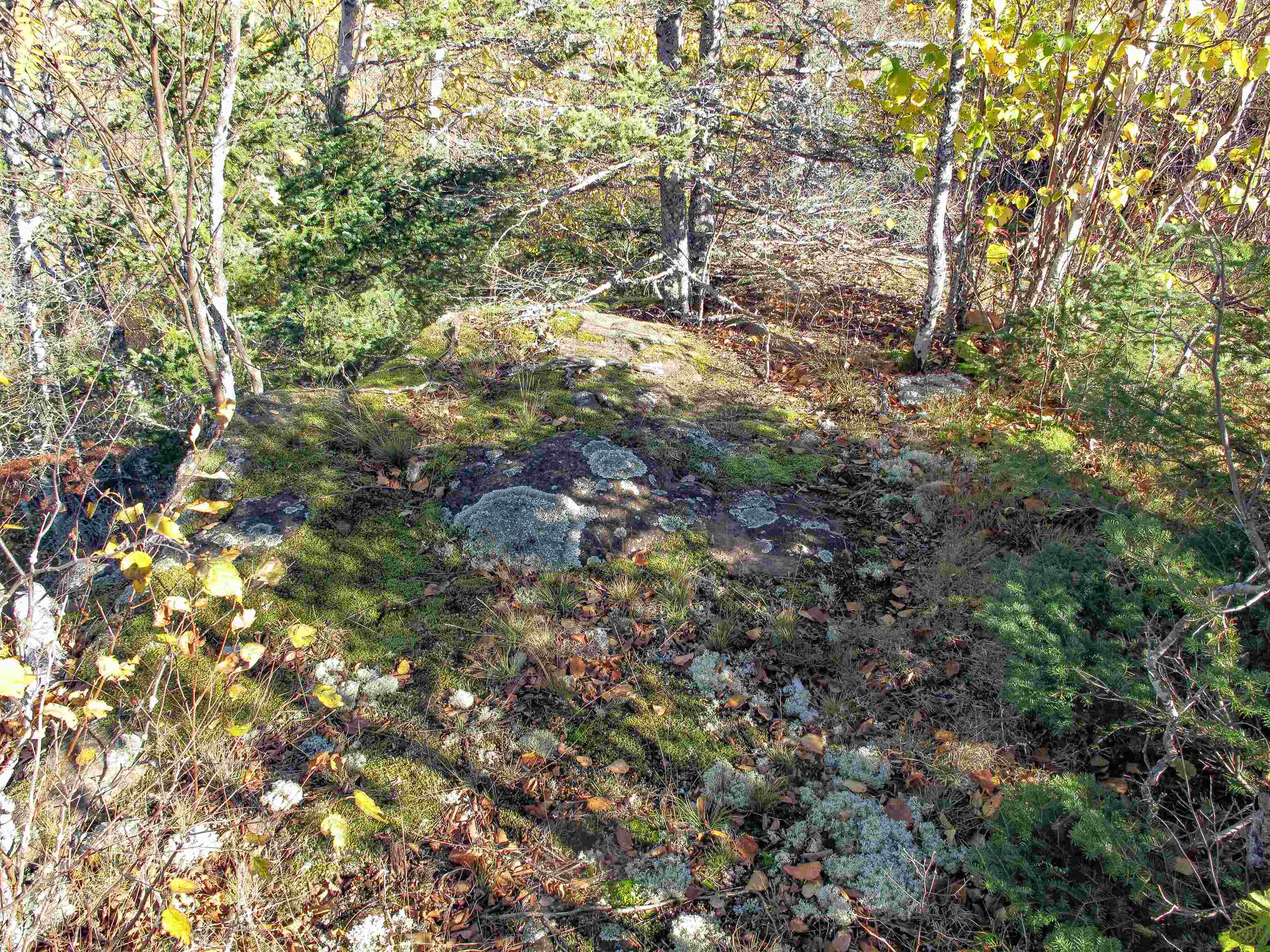 ABC Bally Creek Rd Grand Marais MN 55604 6122477 image28