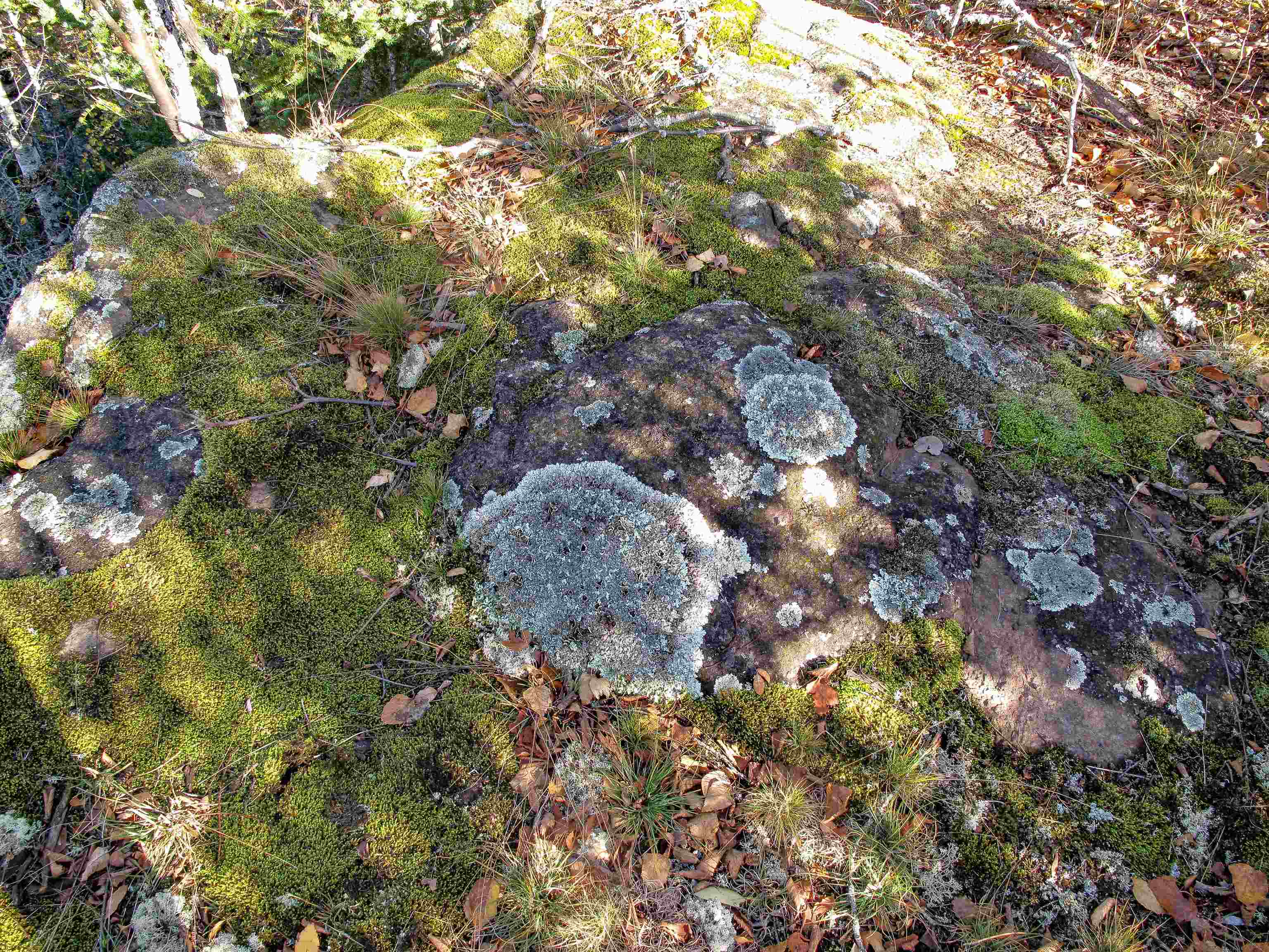 ABC Bally Creek Rd Grand Marais MN 55604 6122477 image29