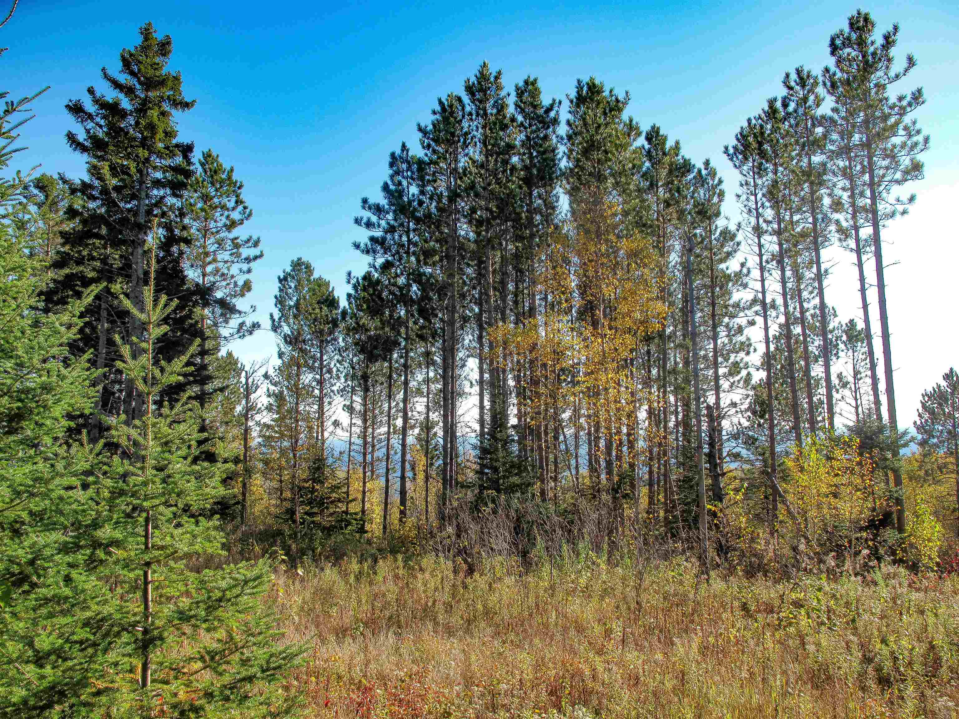 ABC Bally Creek Rd Grand Marais MN 55604 6122477 image30