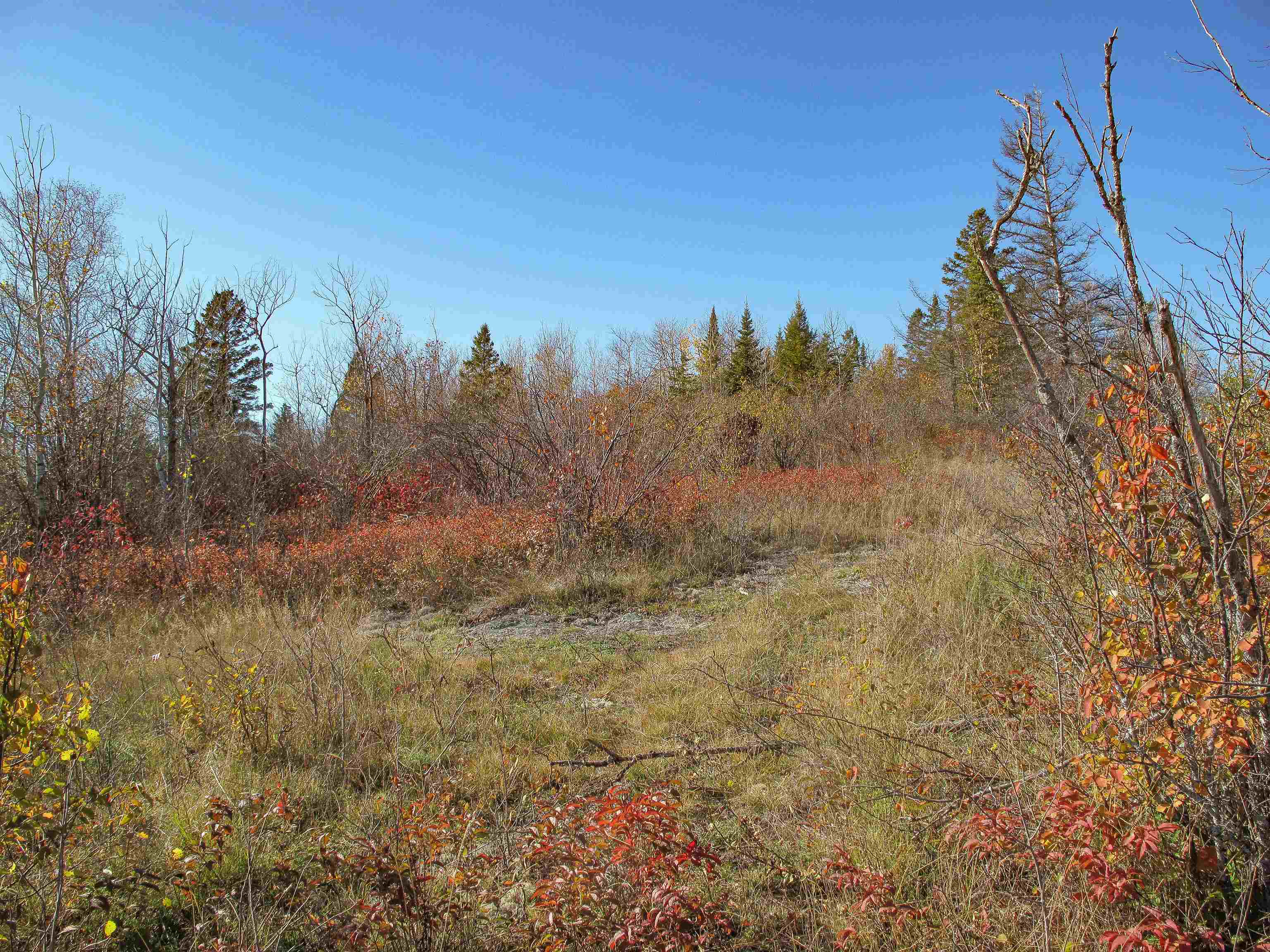 ABC Bally Creek Rd Grand Marais MN 55604 6122477 image31