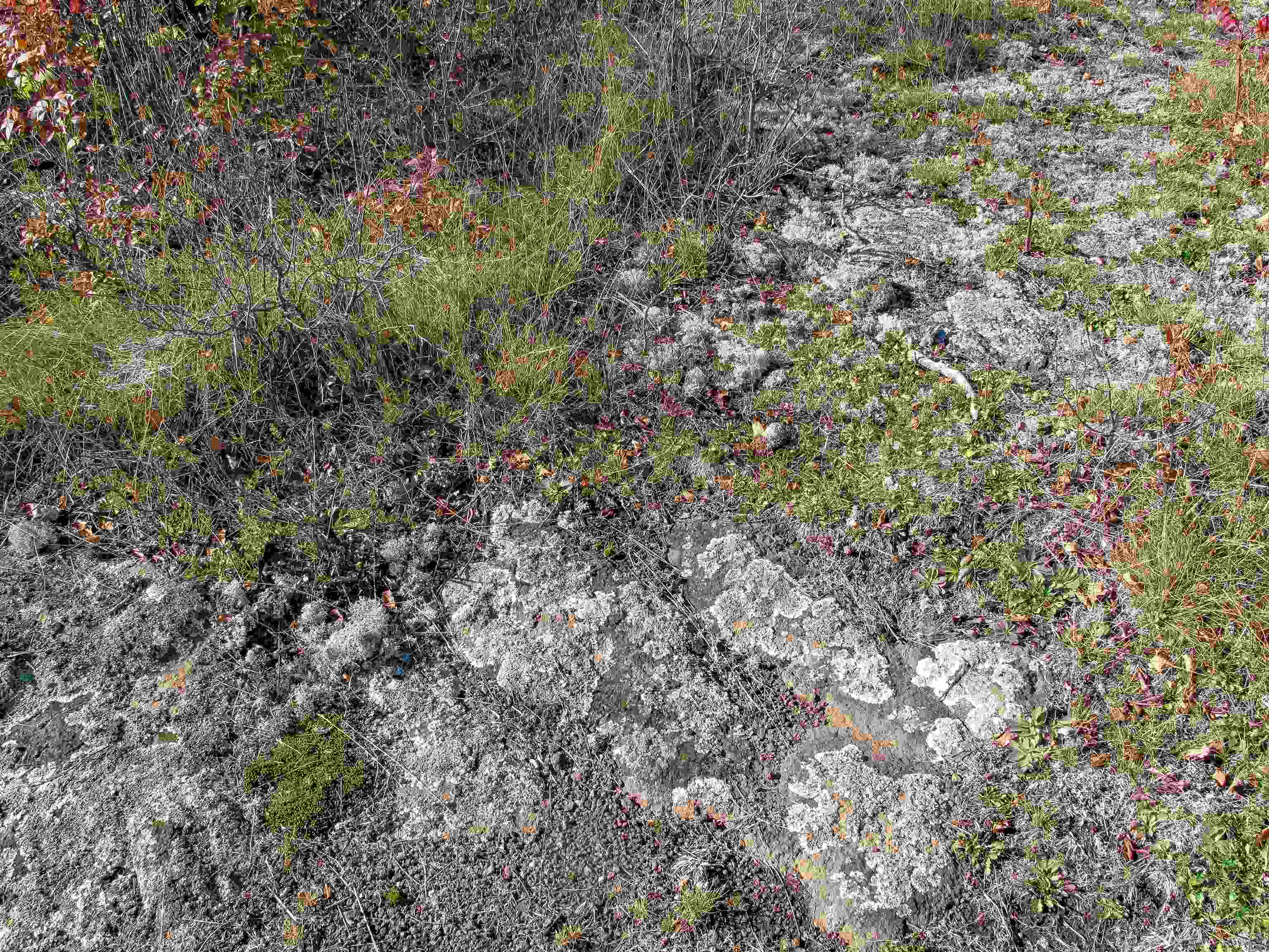 ABC Bally Creek Rd Grand Marais MN 55604 6122477 image32