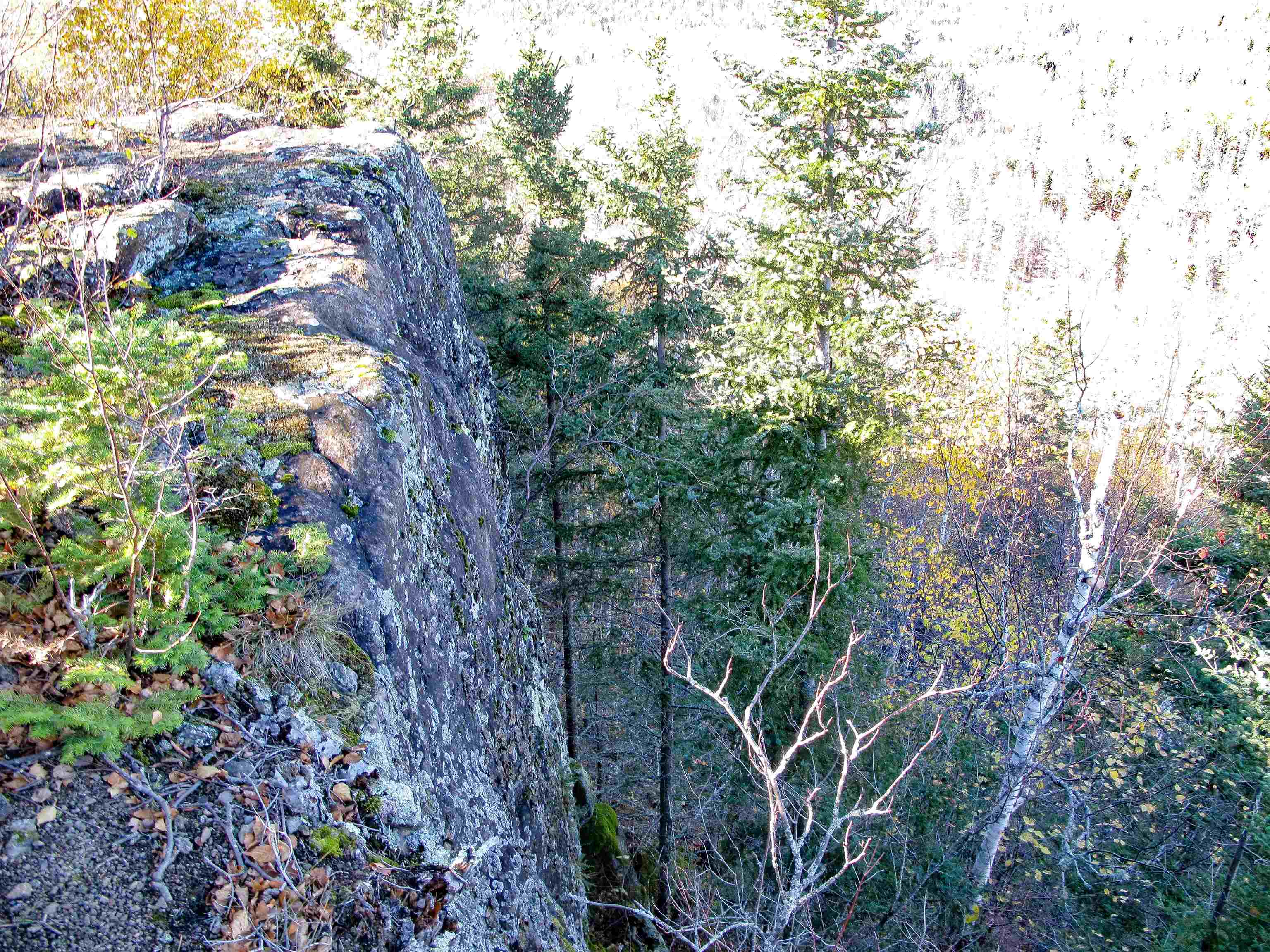 ABC Bally Creek Rd Grand Marais MN 55604 6122477 image34