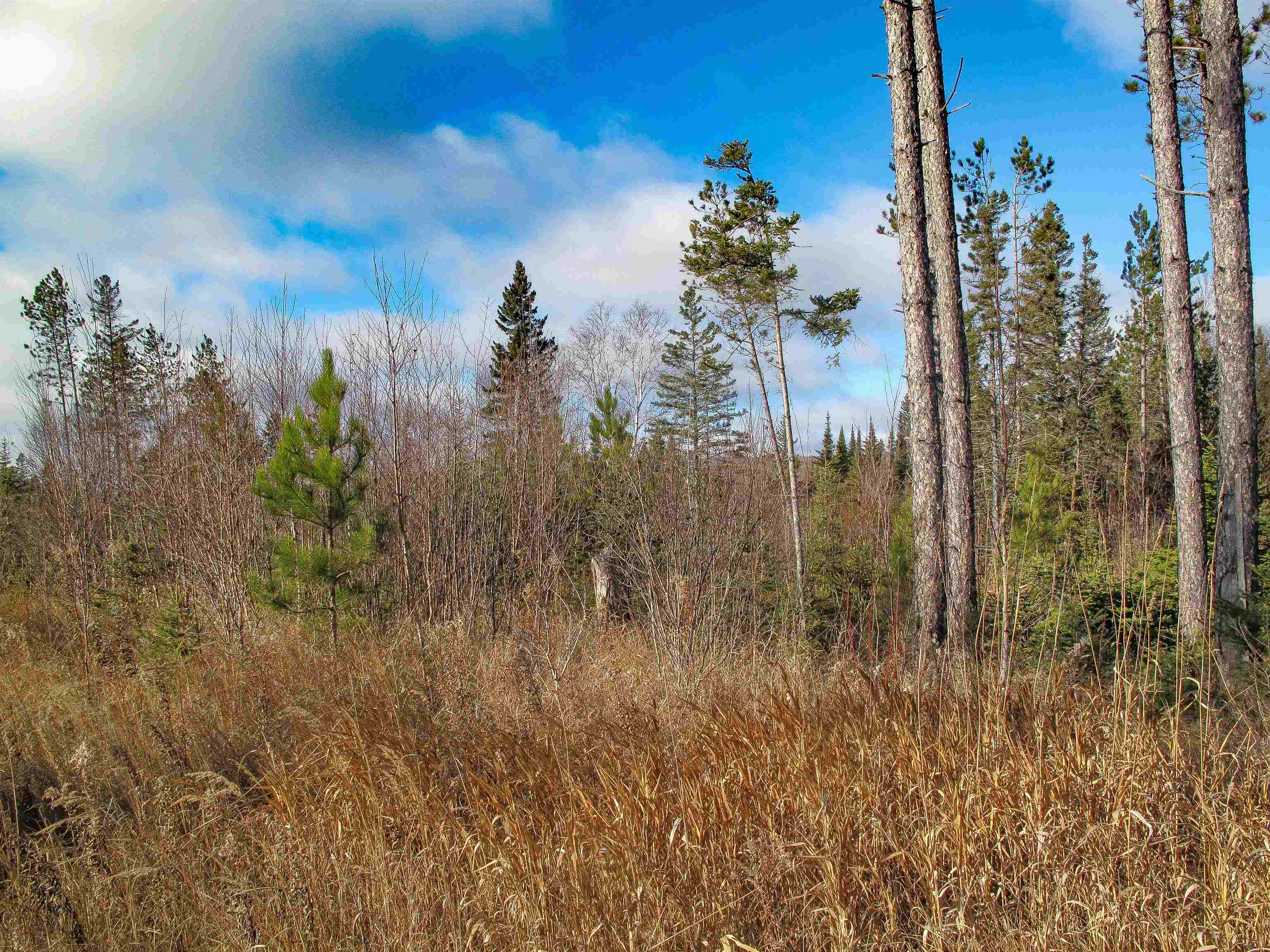 ABC Bally Creek Rd Grand Marais MN 55604 6122477 image35