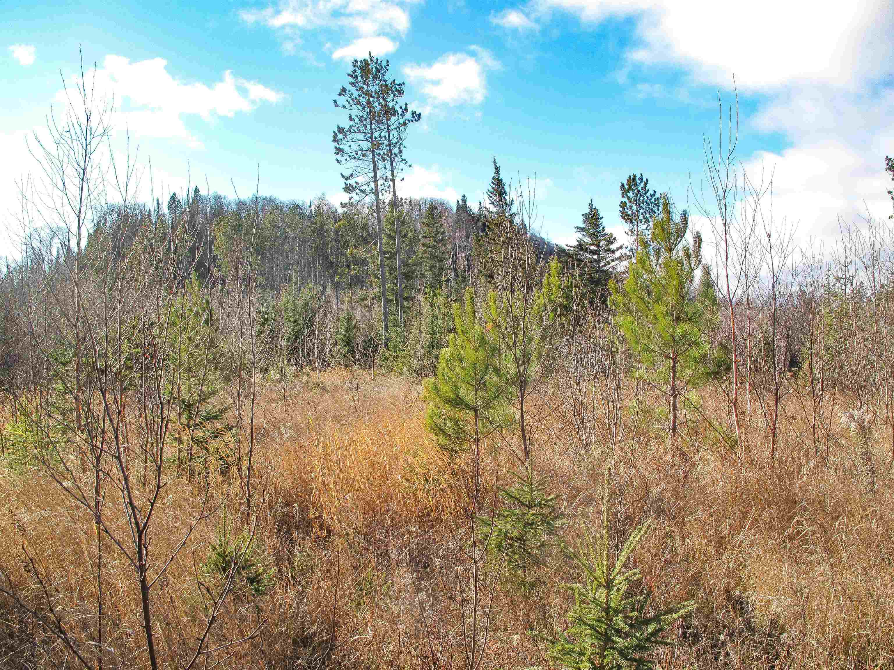 ABC Bally Creek Rd Grand Marais MN 55604 6122477 image36