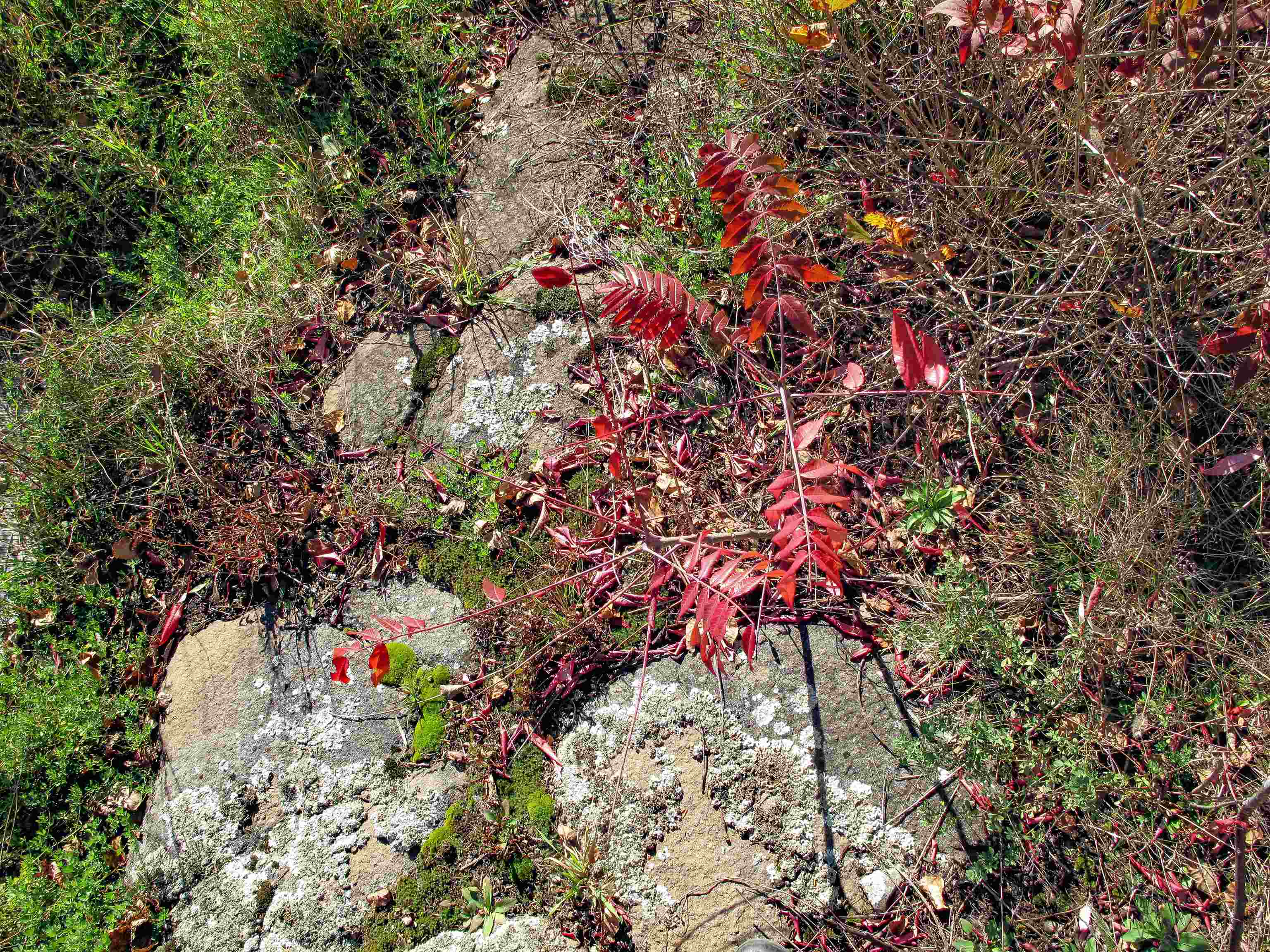 ABC Bally Creek Rd Grand Marais MN 55604 6122477 image37