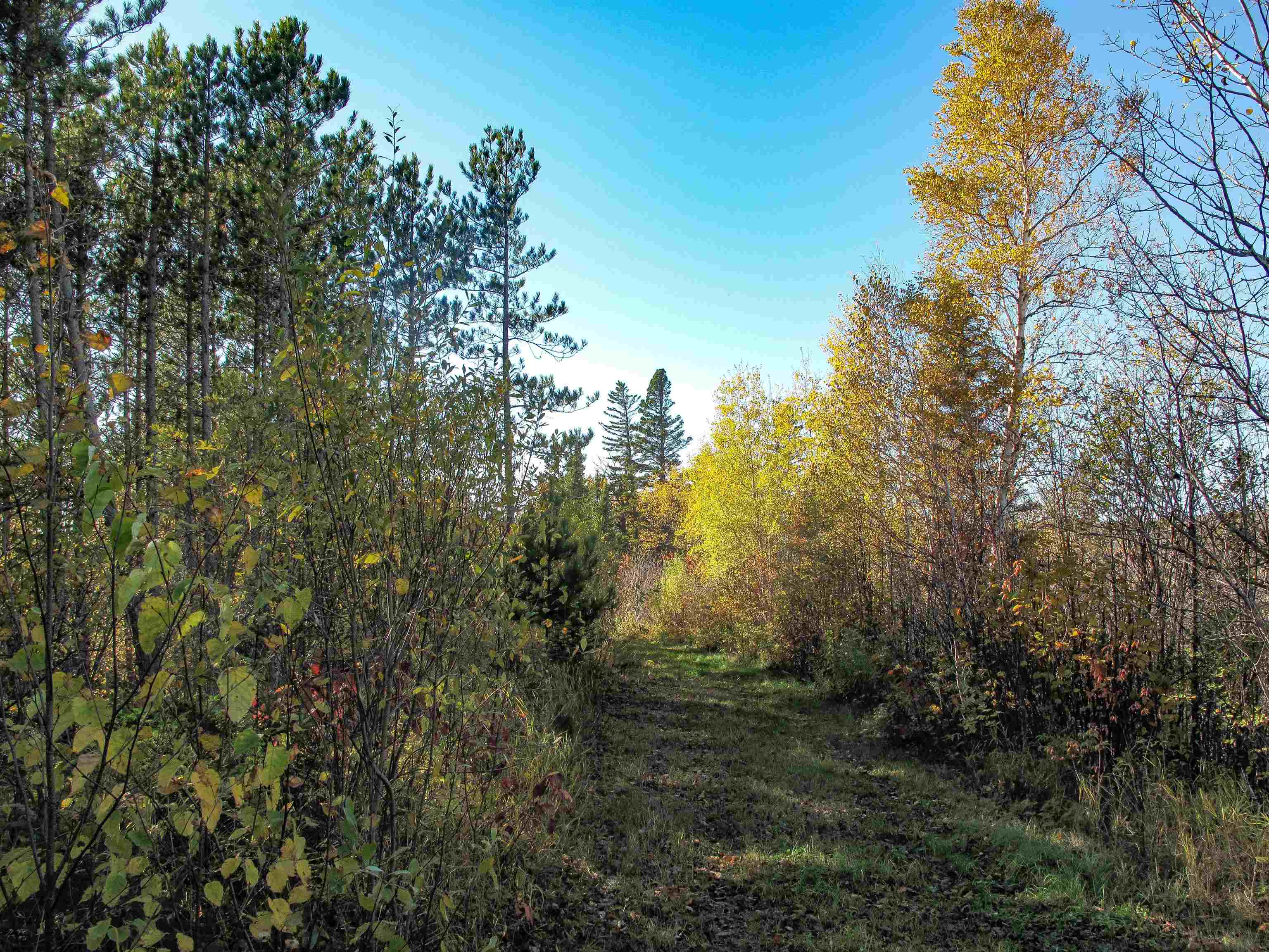 ABC Bally Creek Rd Grand Marais MN 55604 6122477 image38