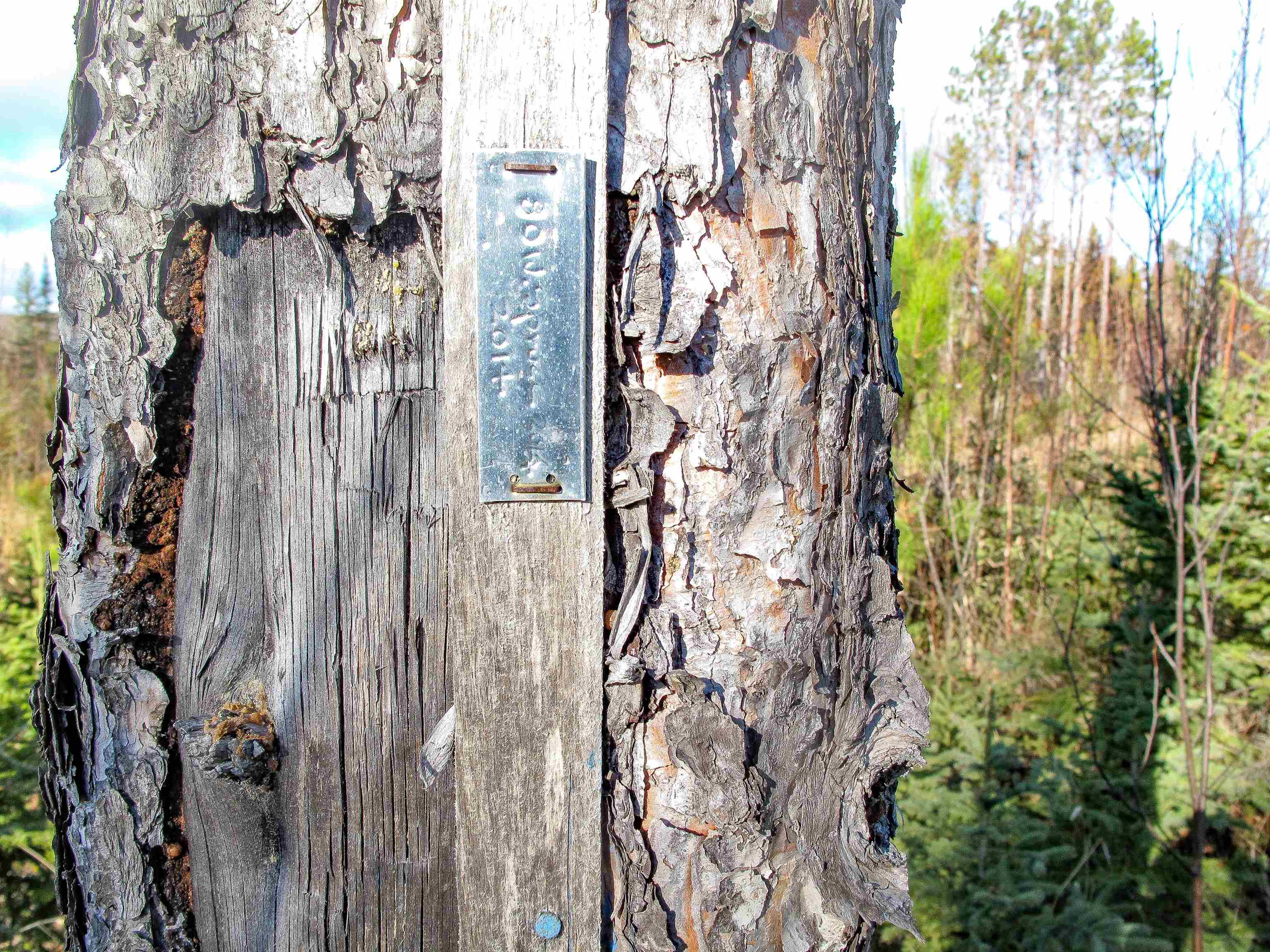 ABC Bally Creek Rd Grand Marais MN 55604 6122477 image40