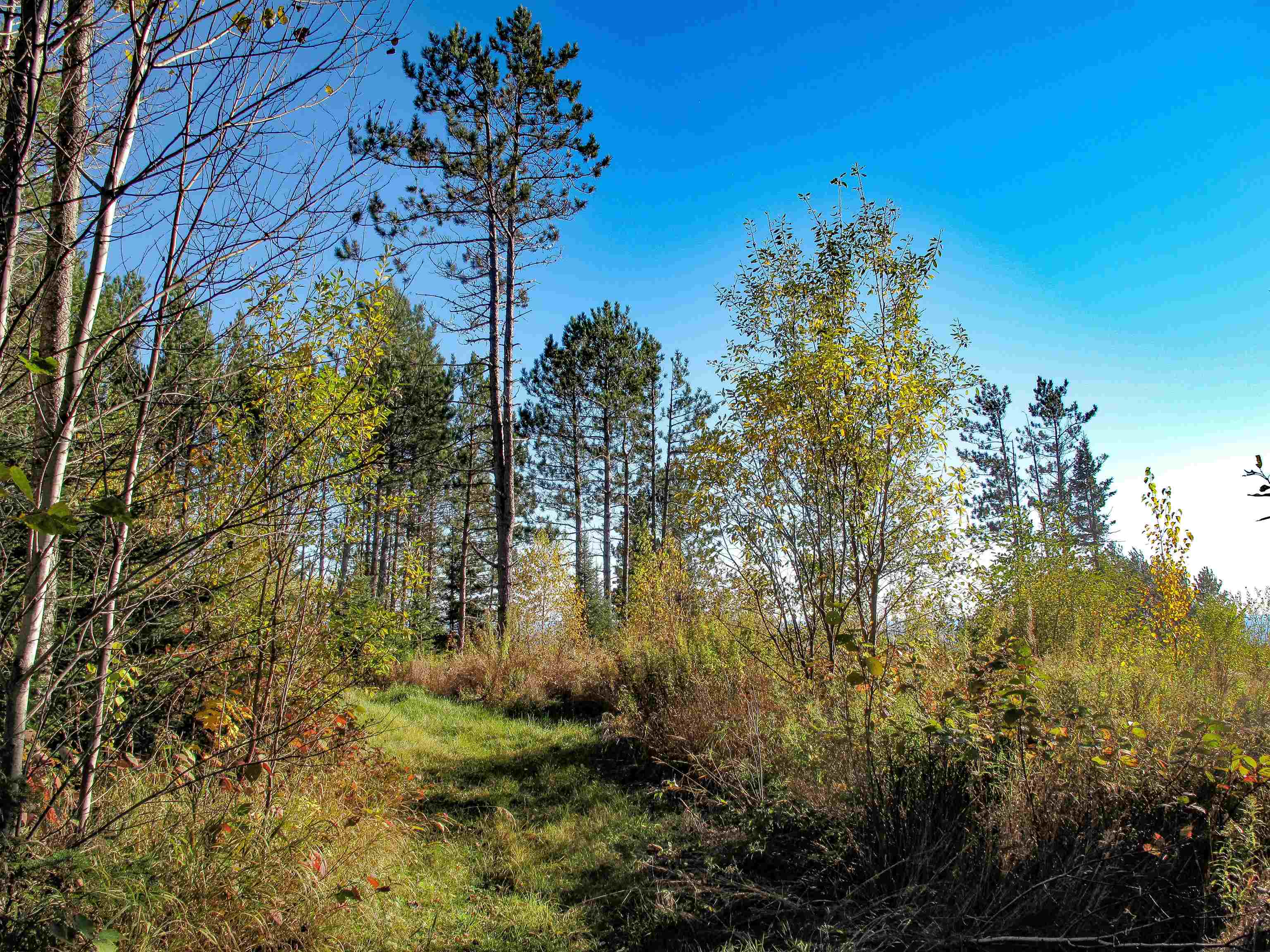 ABC Bally Creek Rd Grand Marais MN 55604 6122477 image46