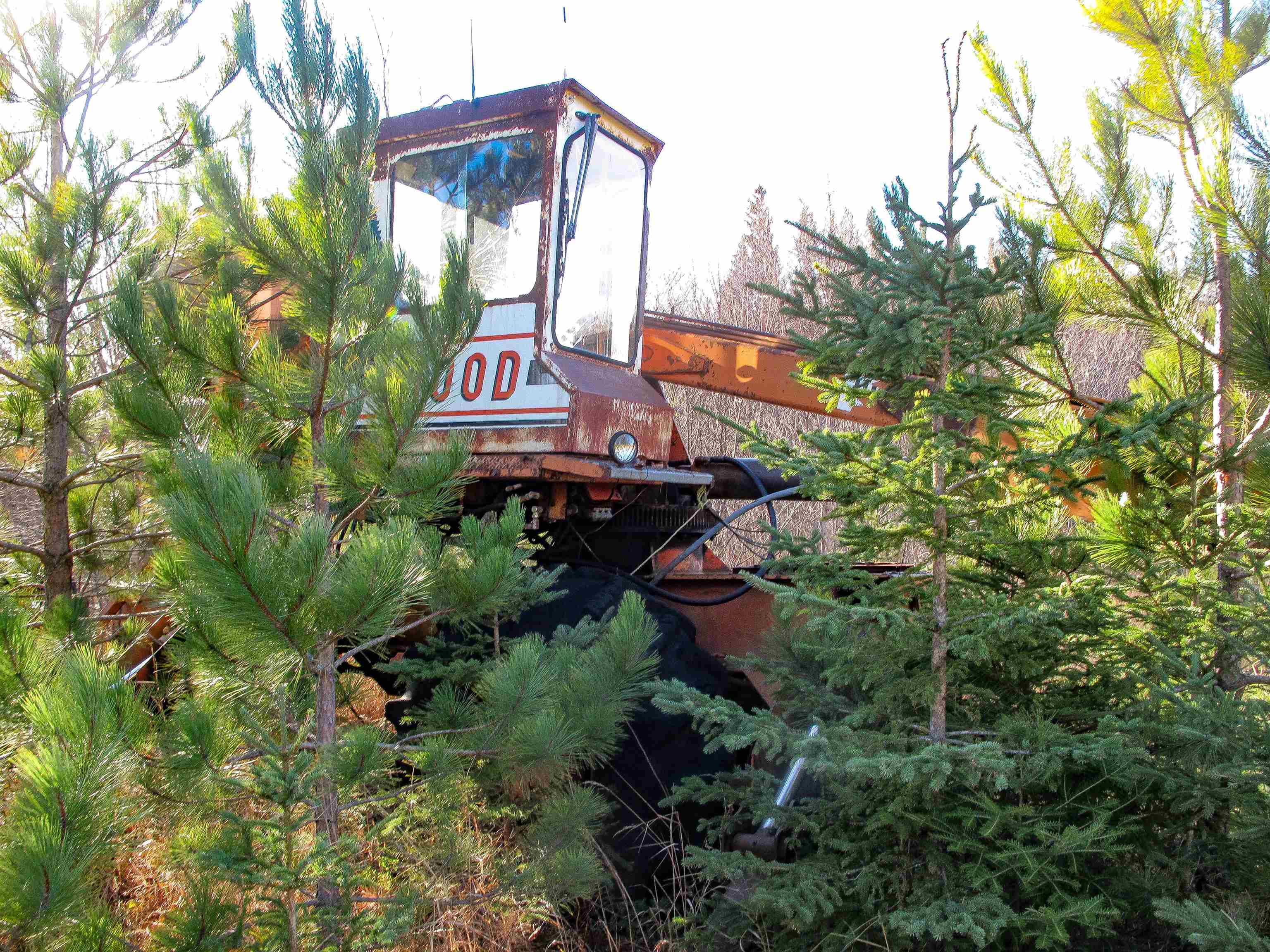 ABC Bally Creek Rd Grand Marais MN 55604 6122477 image49