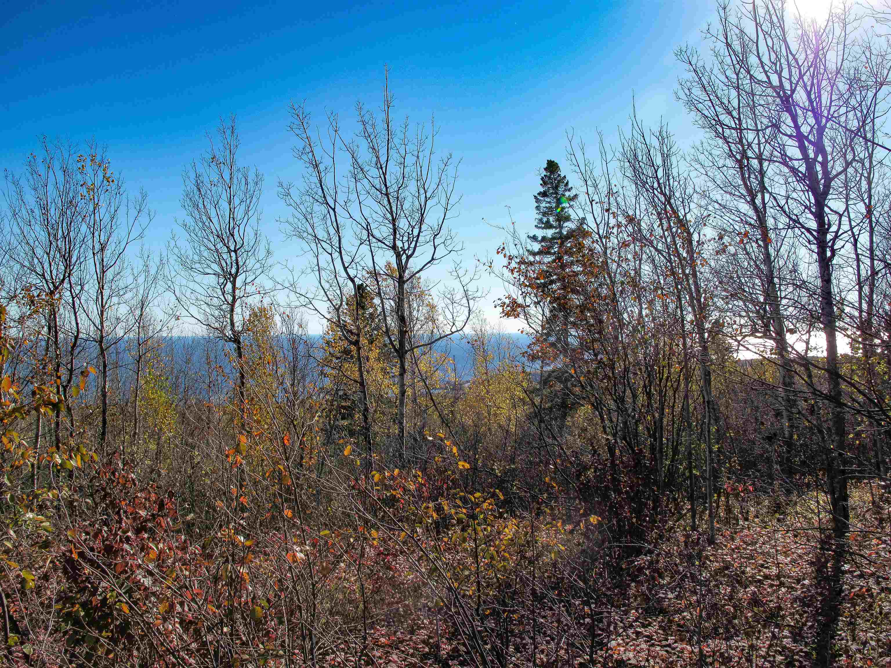 ABC Bally Creek Rd Grand Marais MN 55604 6122477 image5