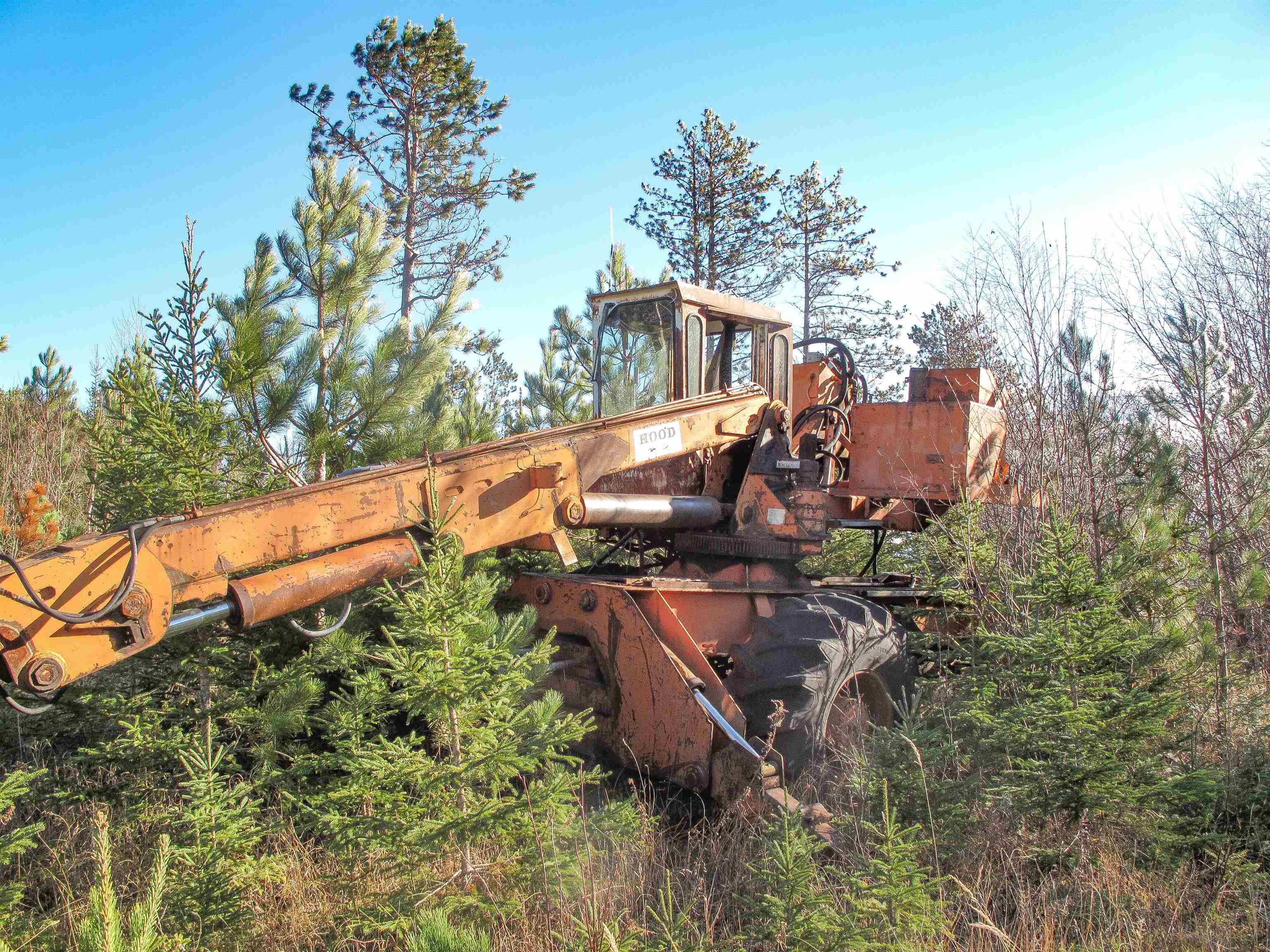 ABC Bally Creek Rd Grand Marais MN 55604 6122477 image50