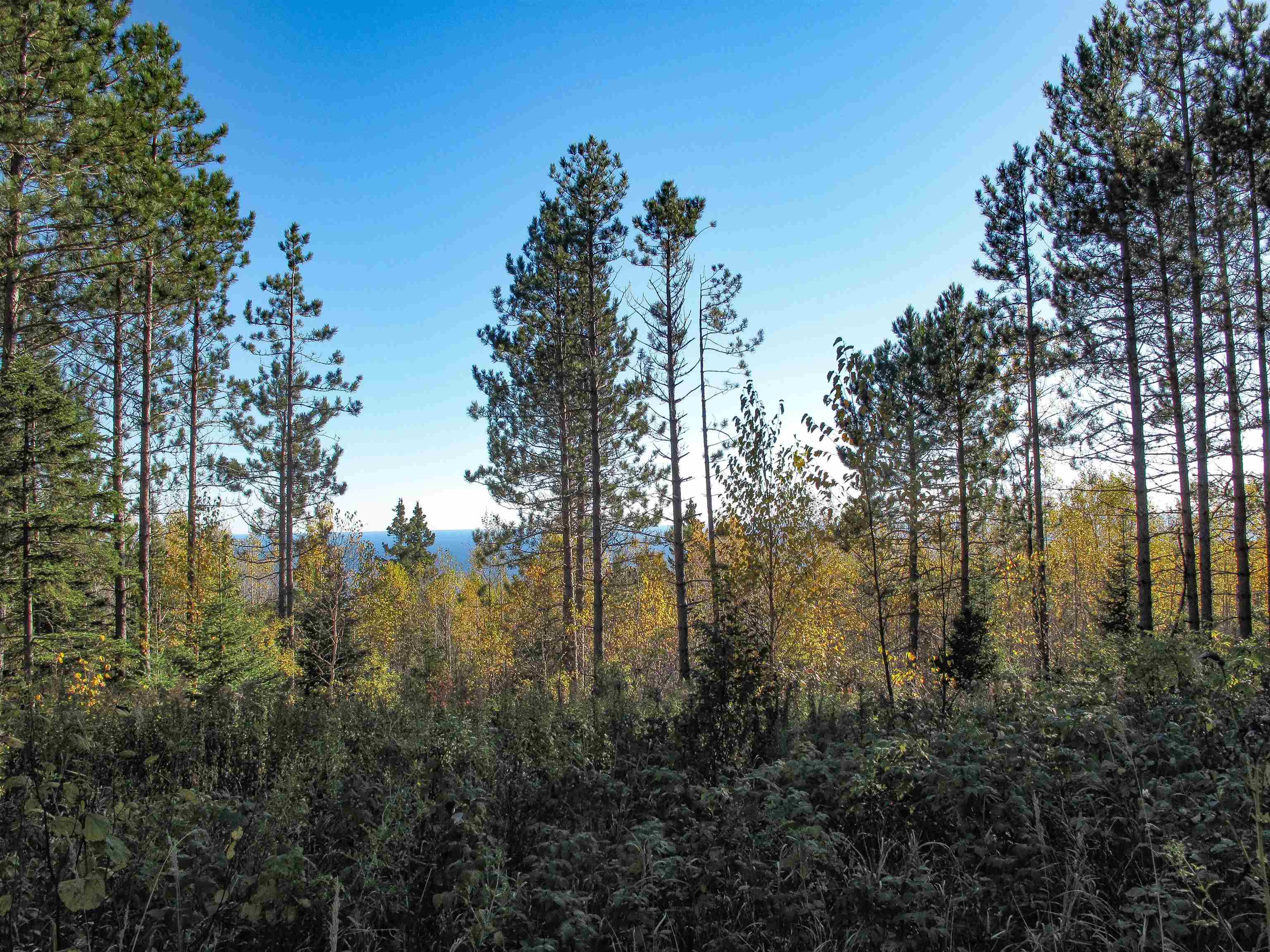 ABC Bally Creek Rd Grand Marais MN 55604 6122477 image51