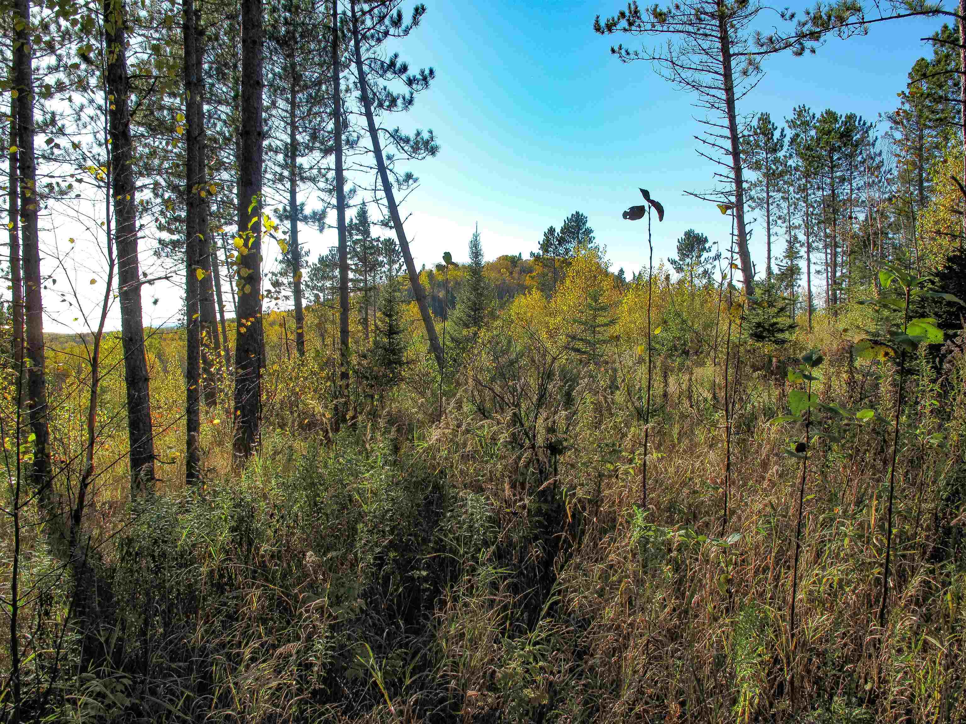 ABC Bally Creek Rd Grand Marais MN 55604 6122477 image59