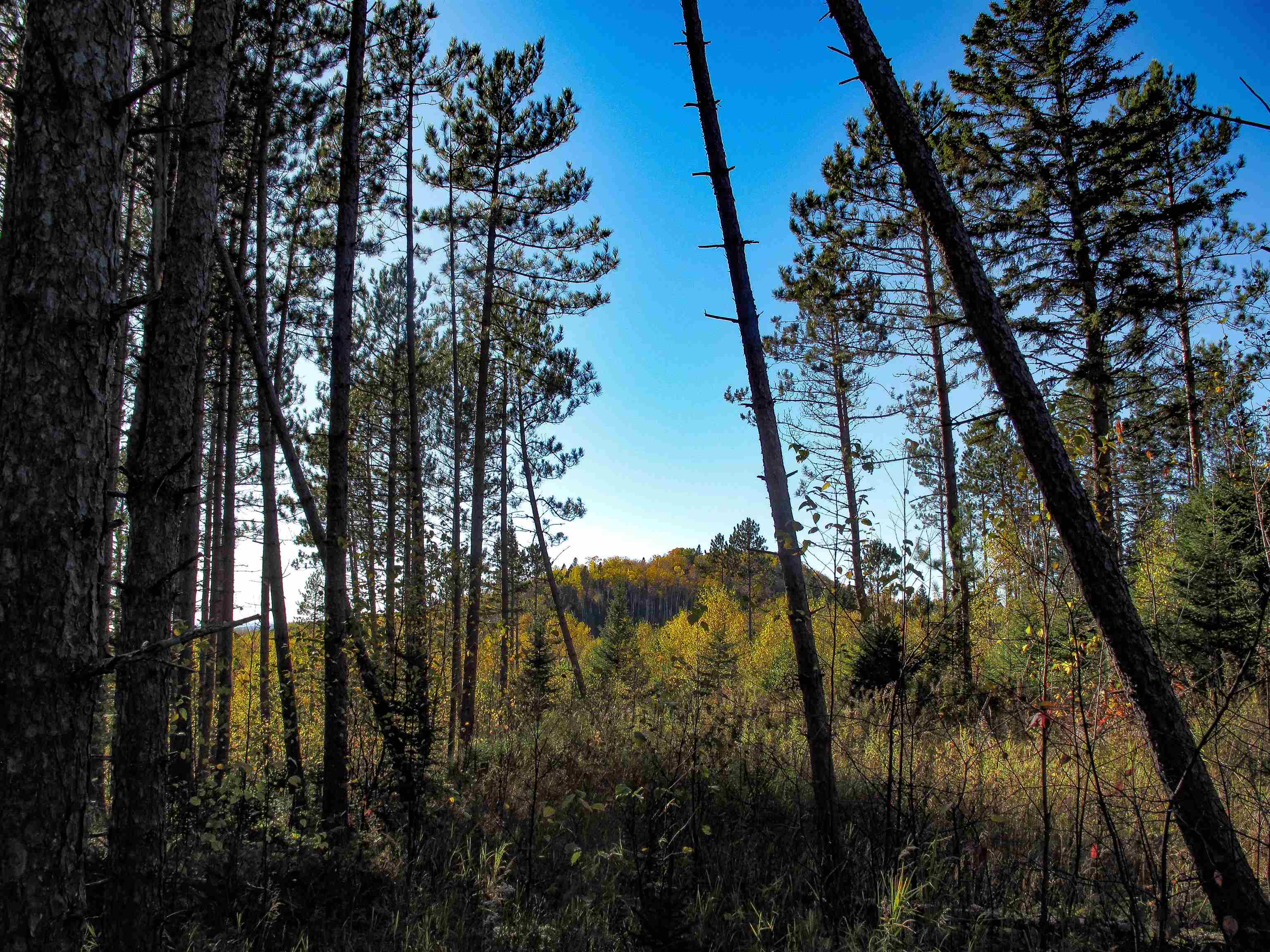 ABC Bally Creek Rd Grand Marais MN 55604 6122477 image6