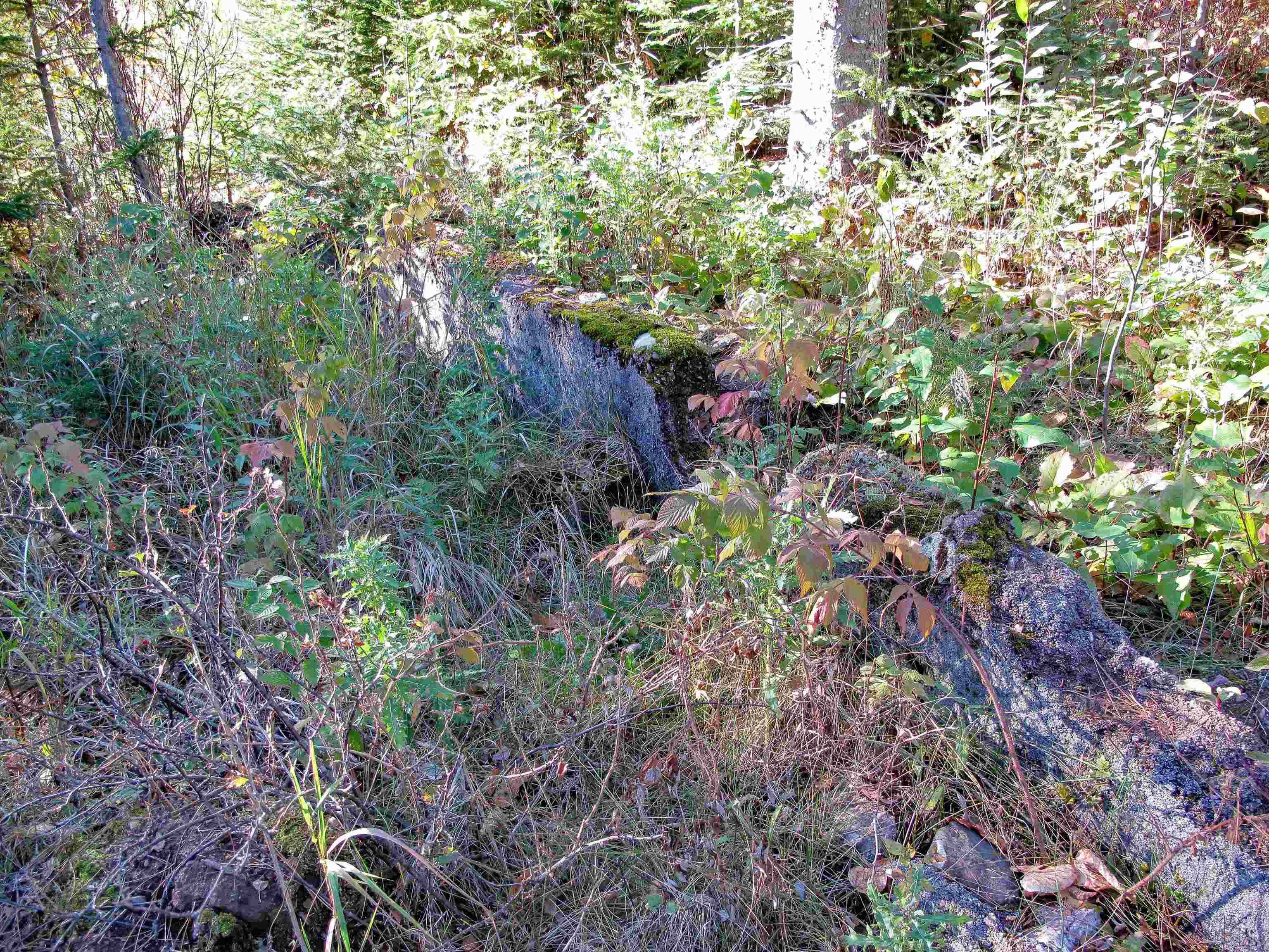 ABC Bally Creek Rd Grand Marais MN 55604 6122477 image61