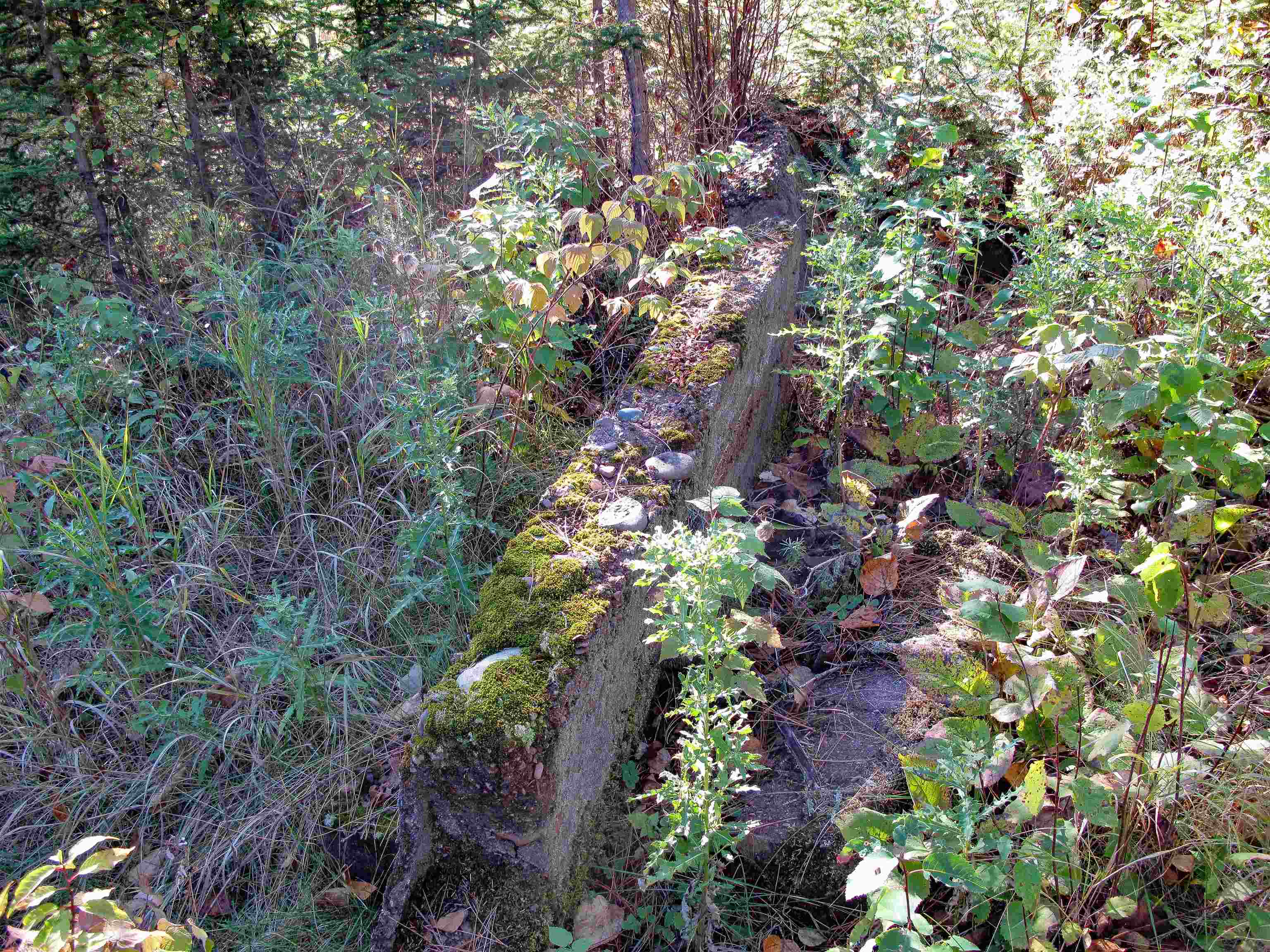 ABC Bally Creek Rd Grand Marais MN 55604 6122477 image62