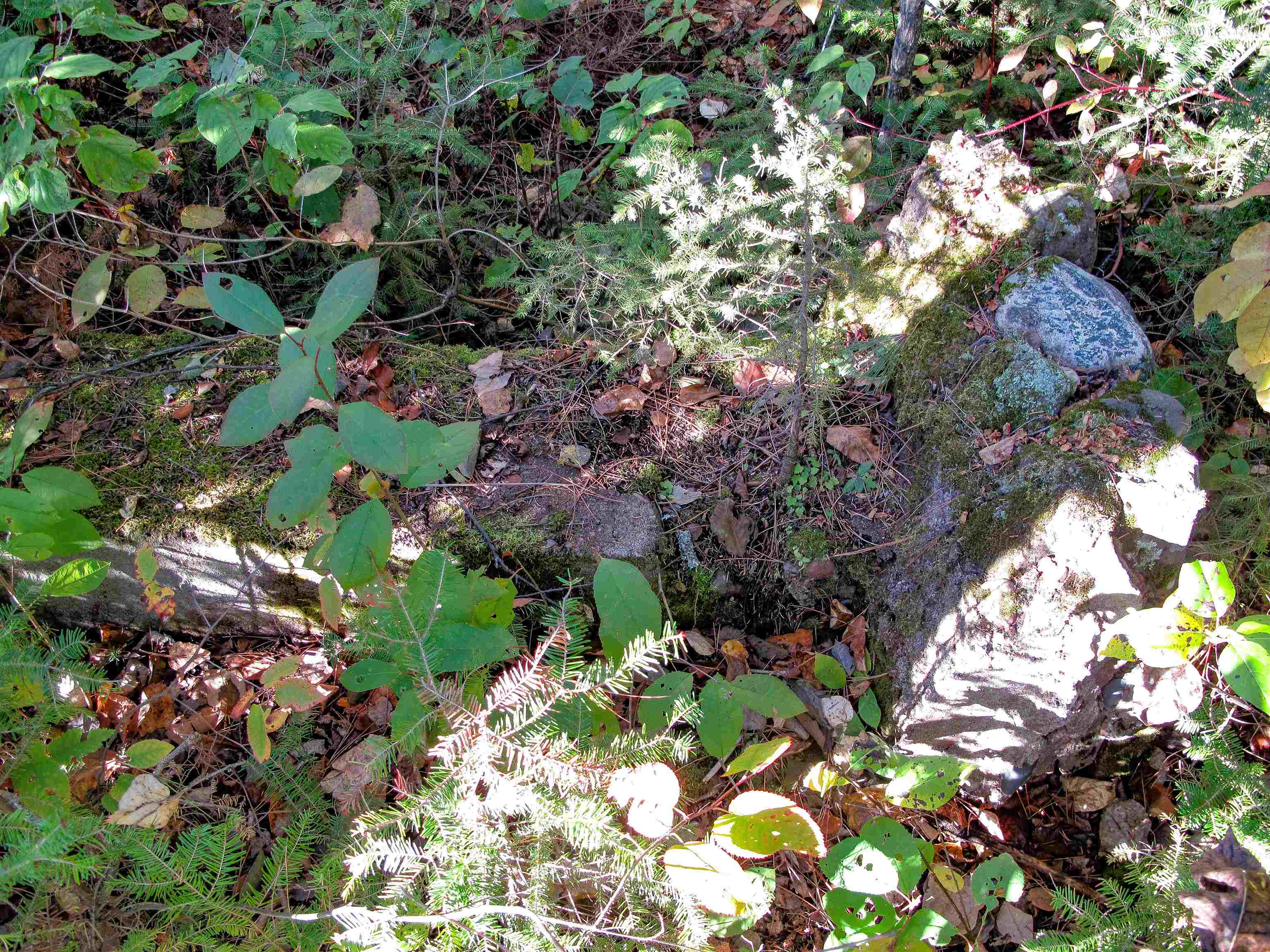 ABC Bally Creek Rd Grand Marais MN 55604 6122477 image63