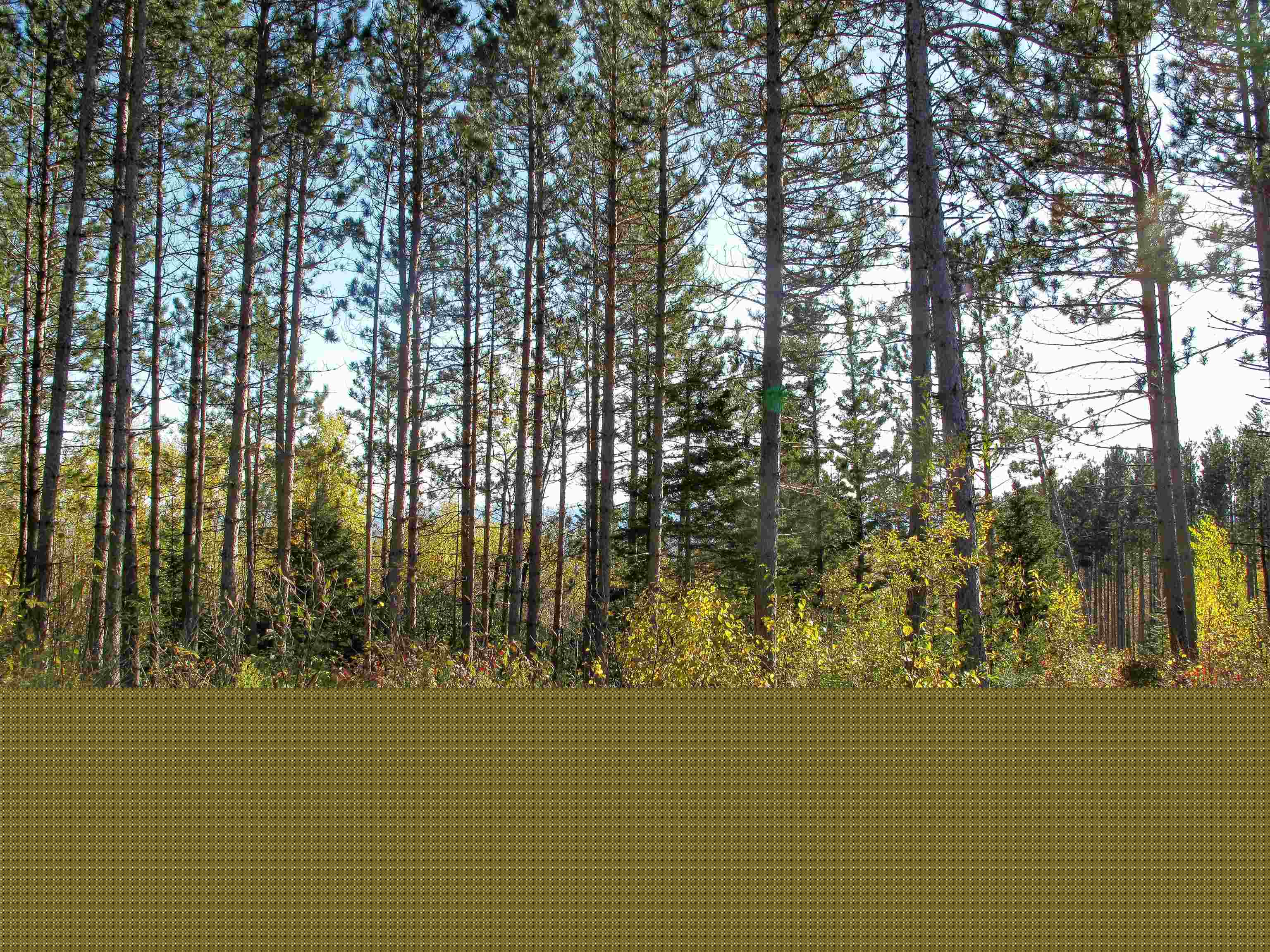 ABC Bally Creek Rd Grand Marais MN 55604 6122477 image65