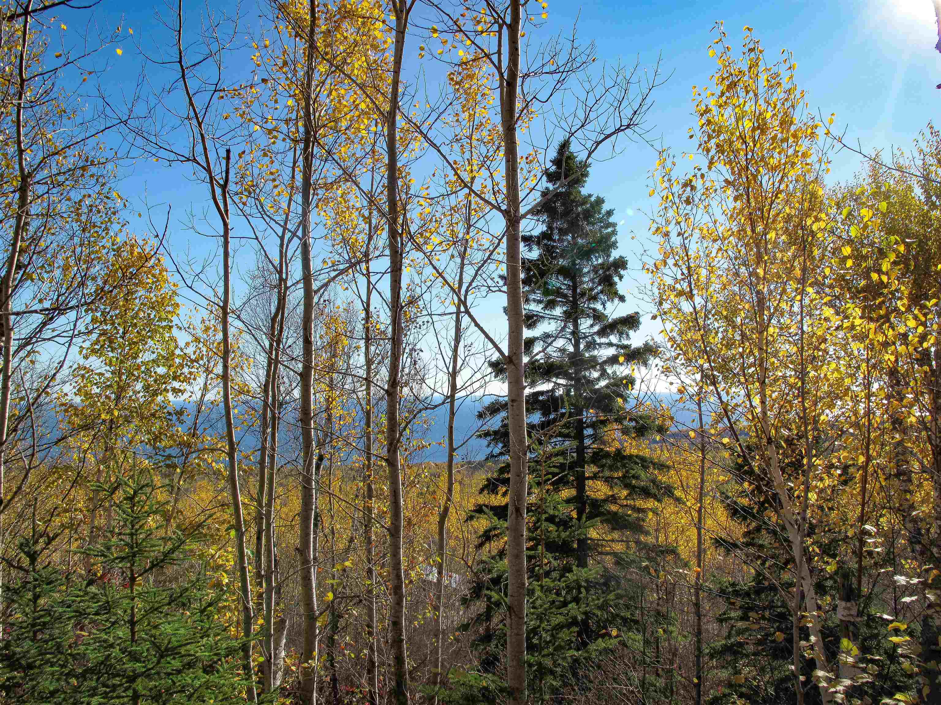 ABC Bally Creek Rd Grand Marais MN 55604 6122477 image9