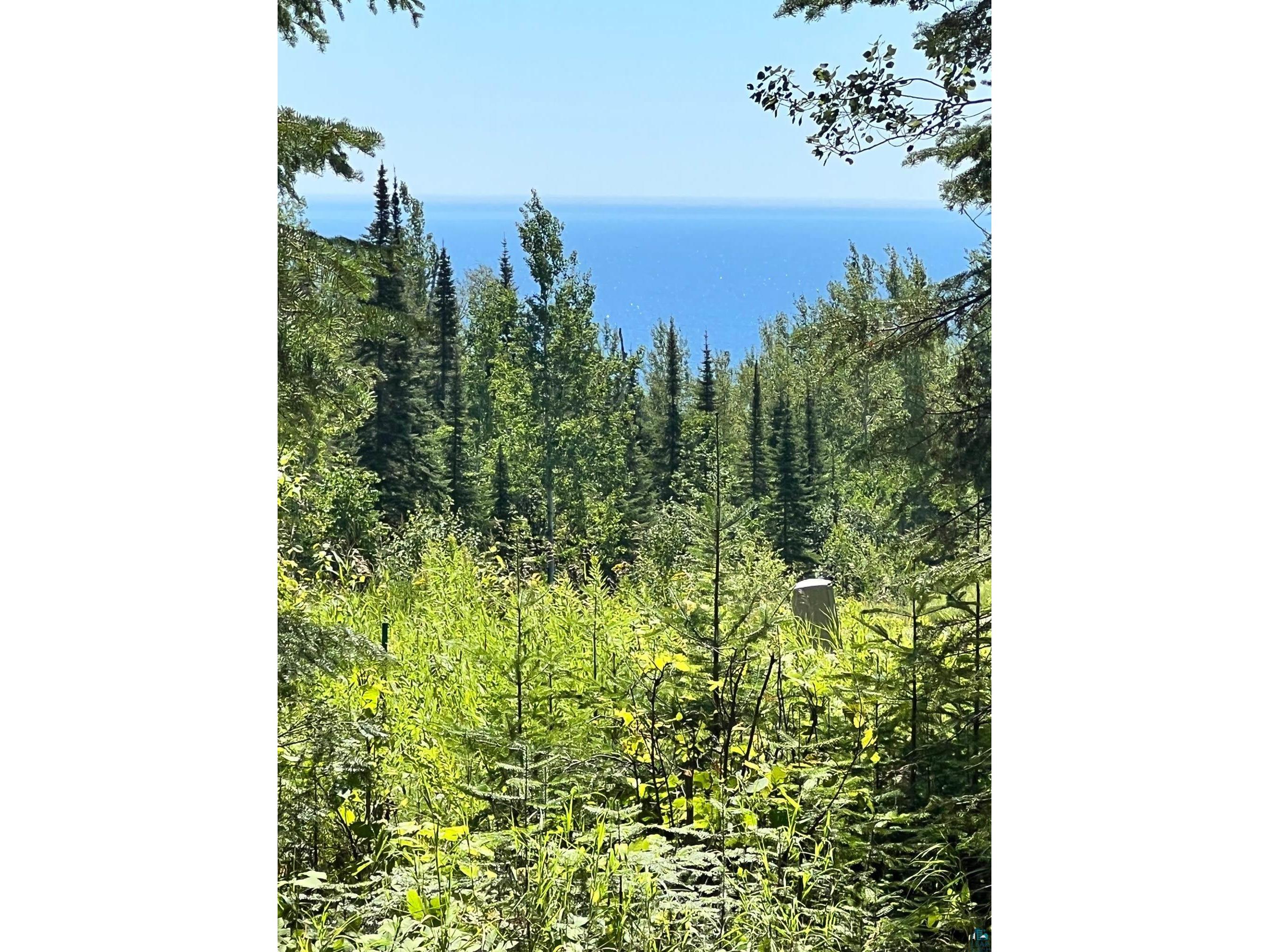 ABX Cedar Grove Lane, Grand Marais, MN, 55604 MLS 7329647 Edina Realty