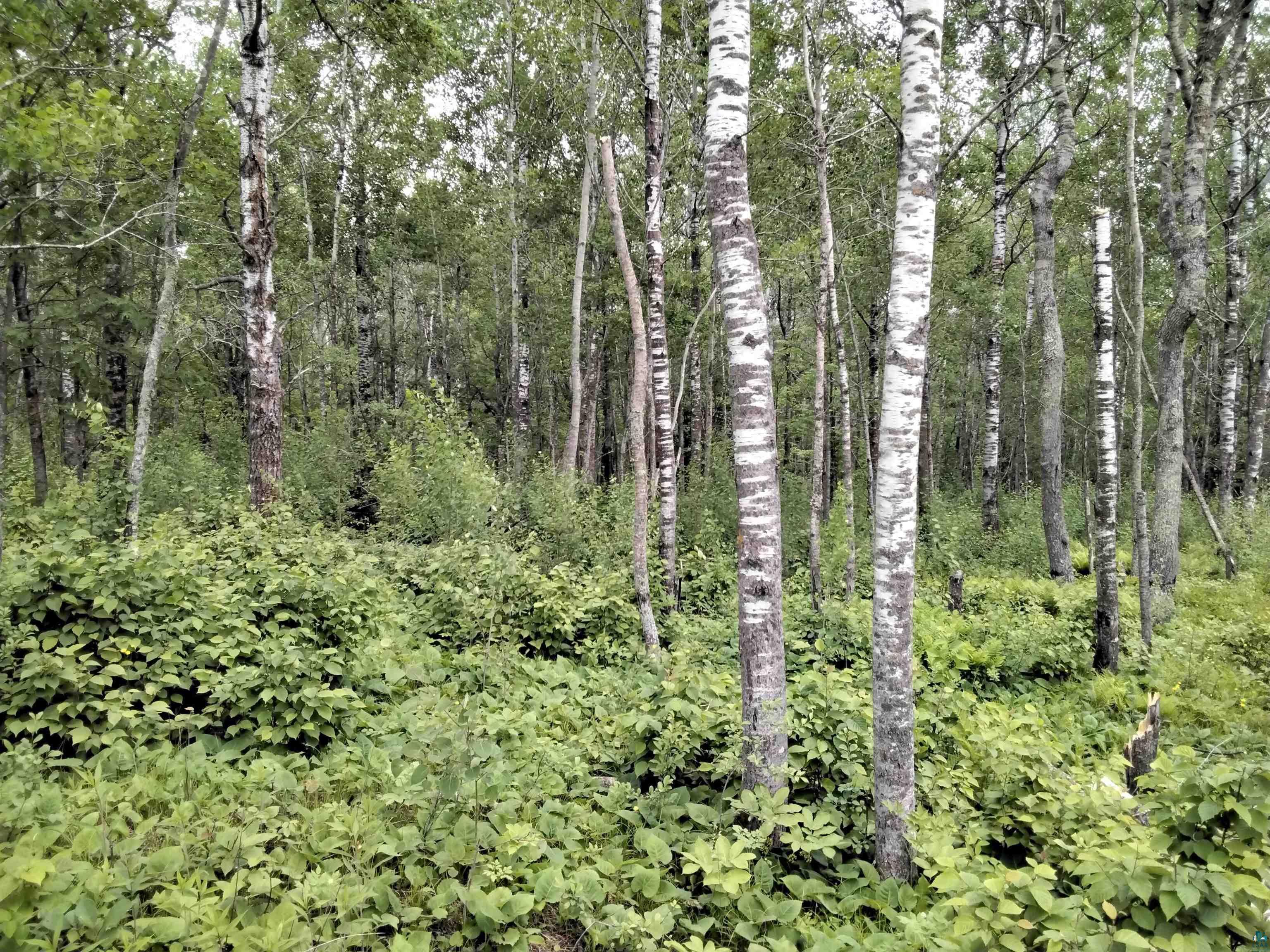 Benson Rd Hermantown MN 55811 6108781 image1