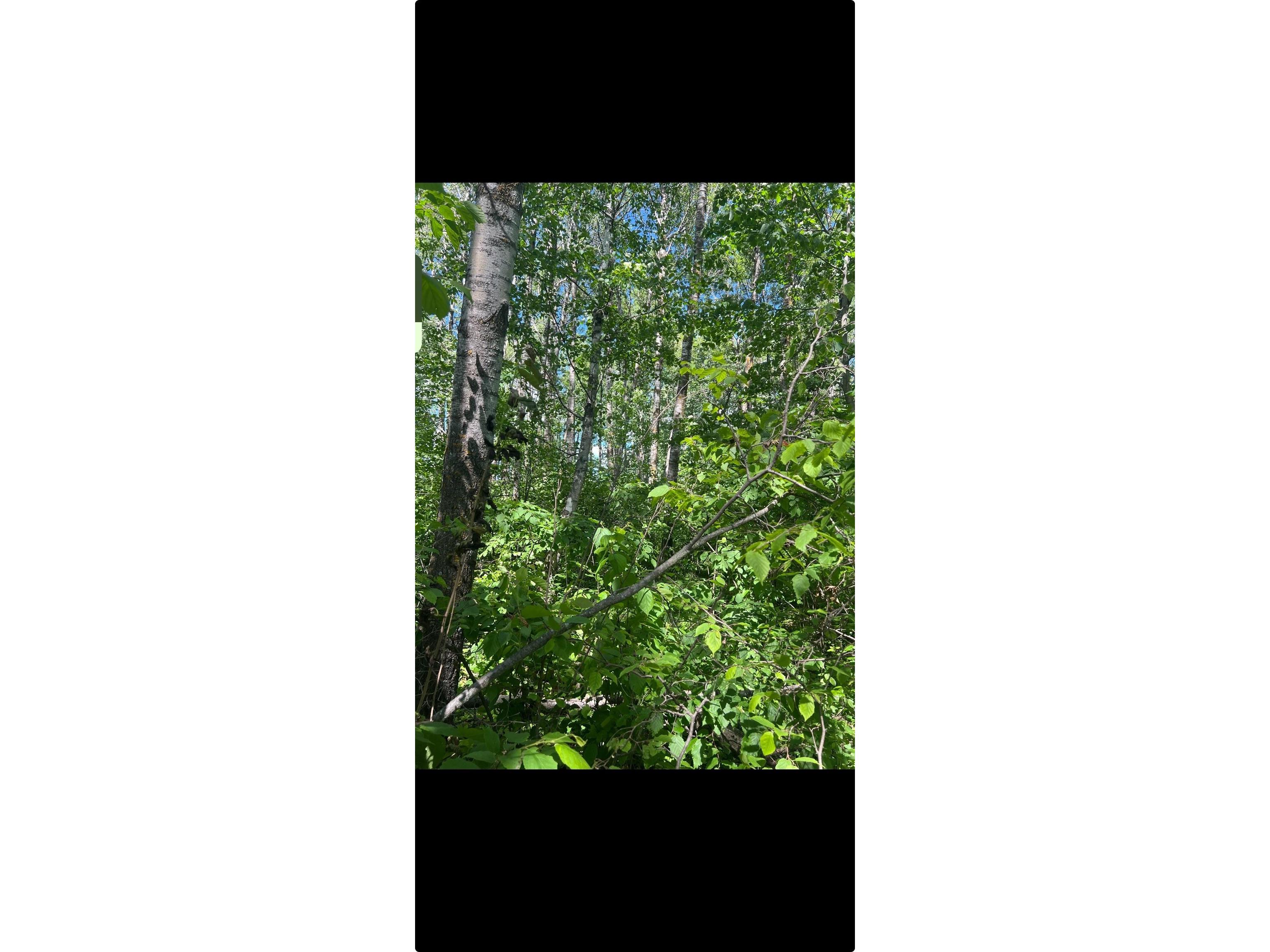 County Rd 103 Blackhoof MN 55718 6117337 image3