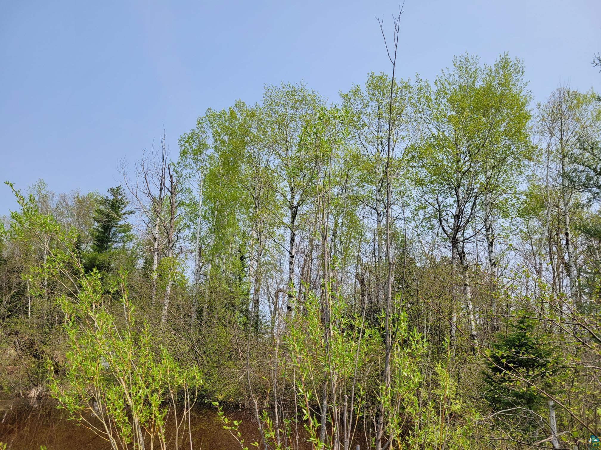 E County Rd A Solon Springs WI 55873 6108148 image1