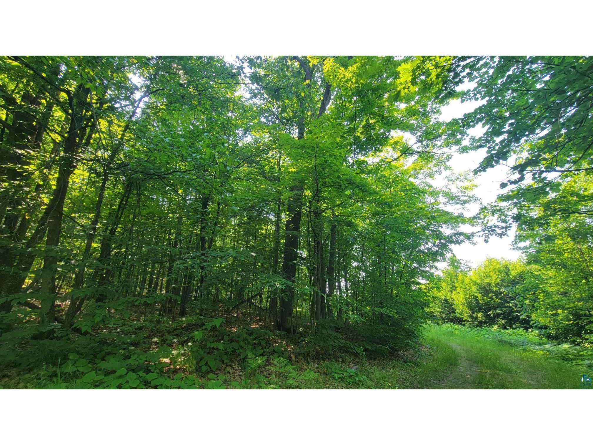 E Half Mile Rd Herbster WI 54844 6126454 image4
