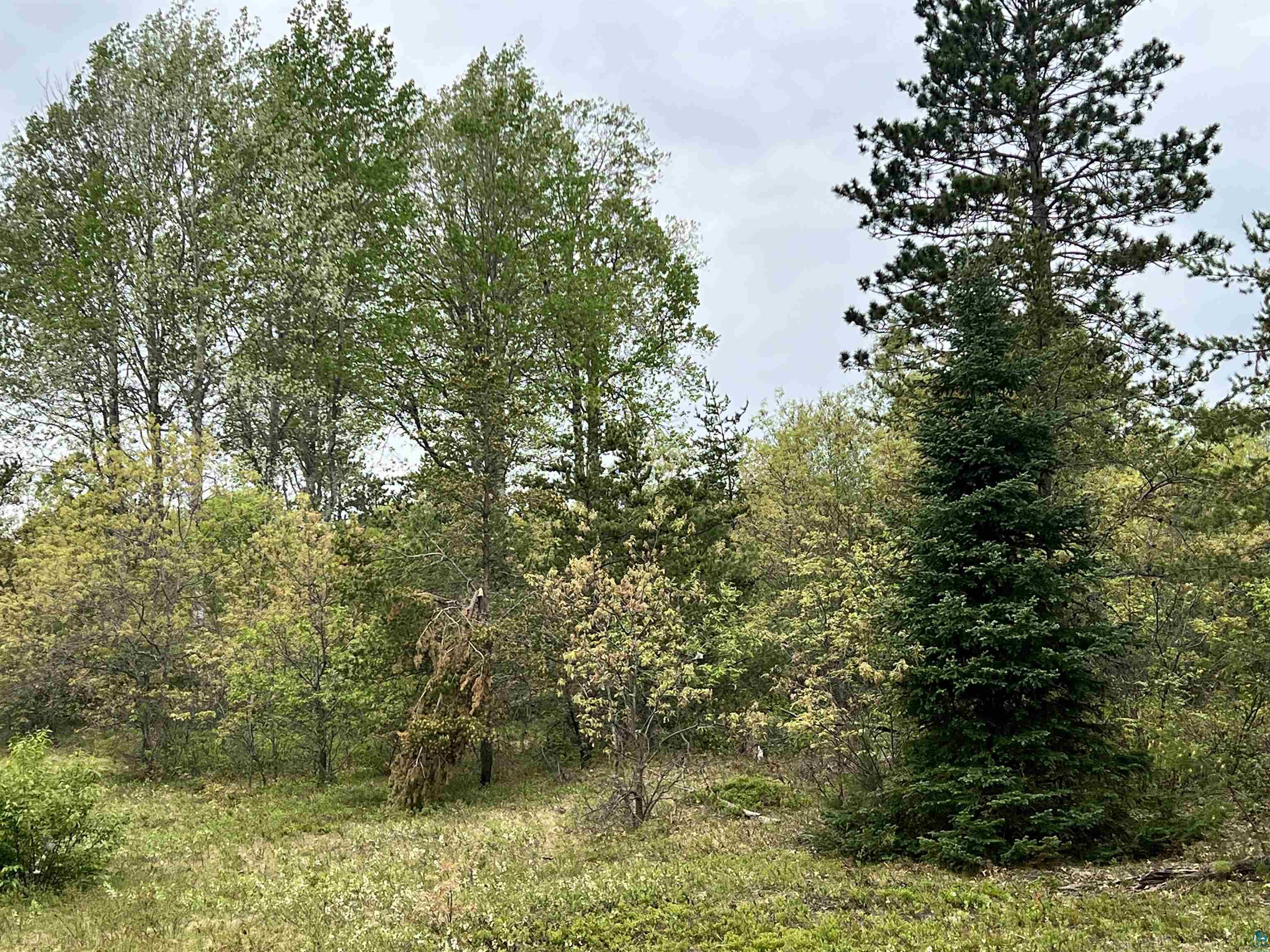 Jackman Lake Rd Iron River WI 54847 6108359 image1