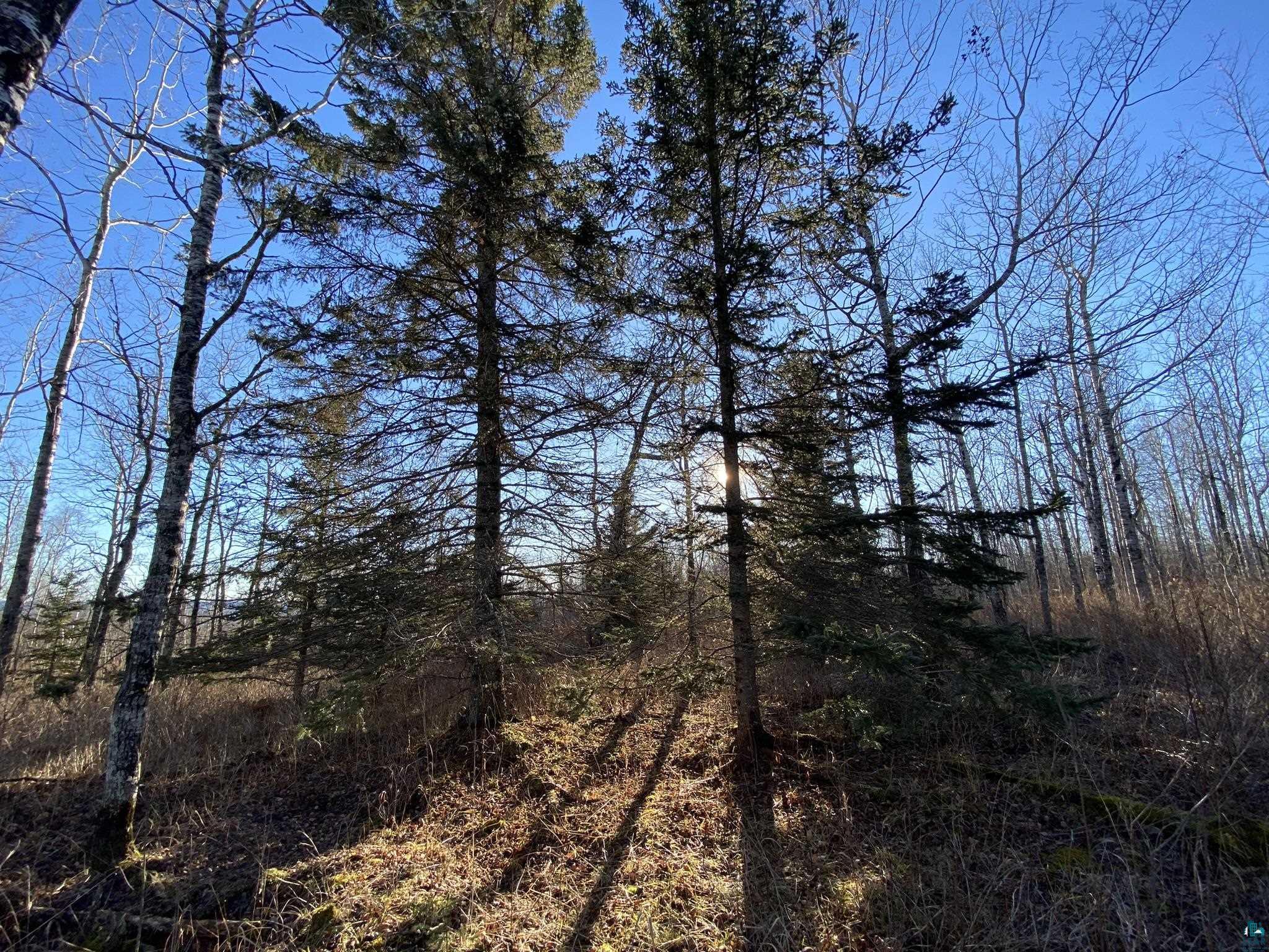 L1 B1 Crosswind Tr Tofte MN 55615 6111839 image1