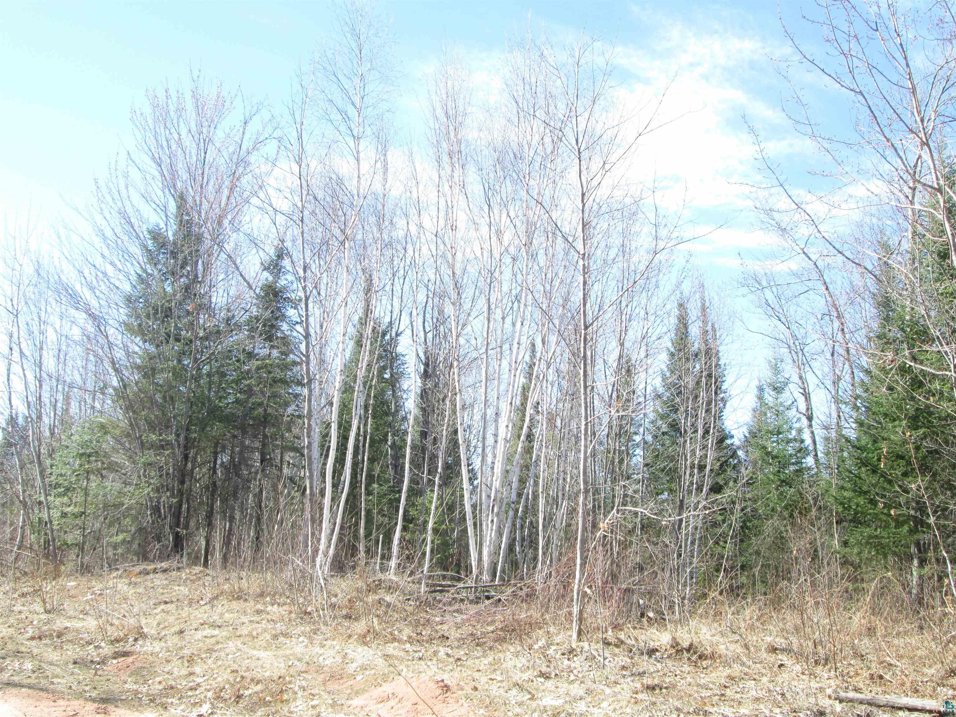 Lot 1 40 acres County Rd L South Range WI 54874 6123934 image15