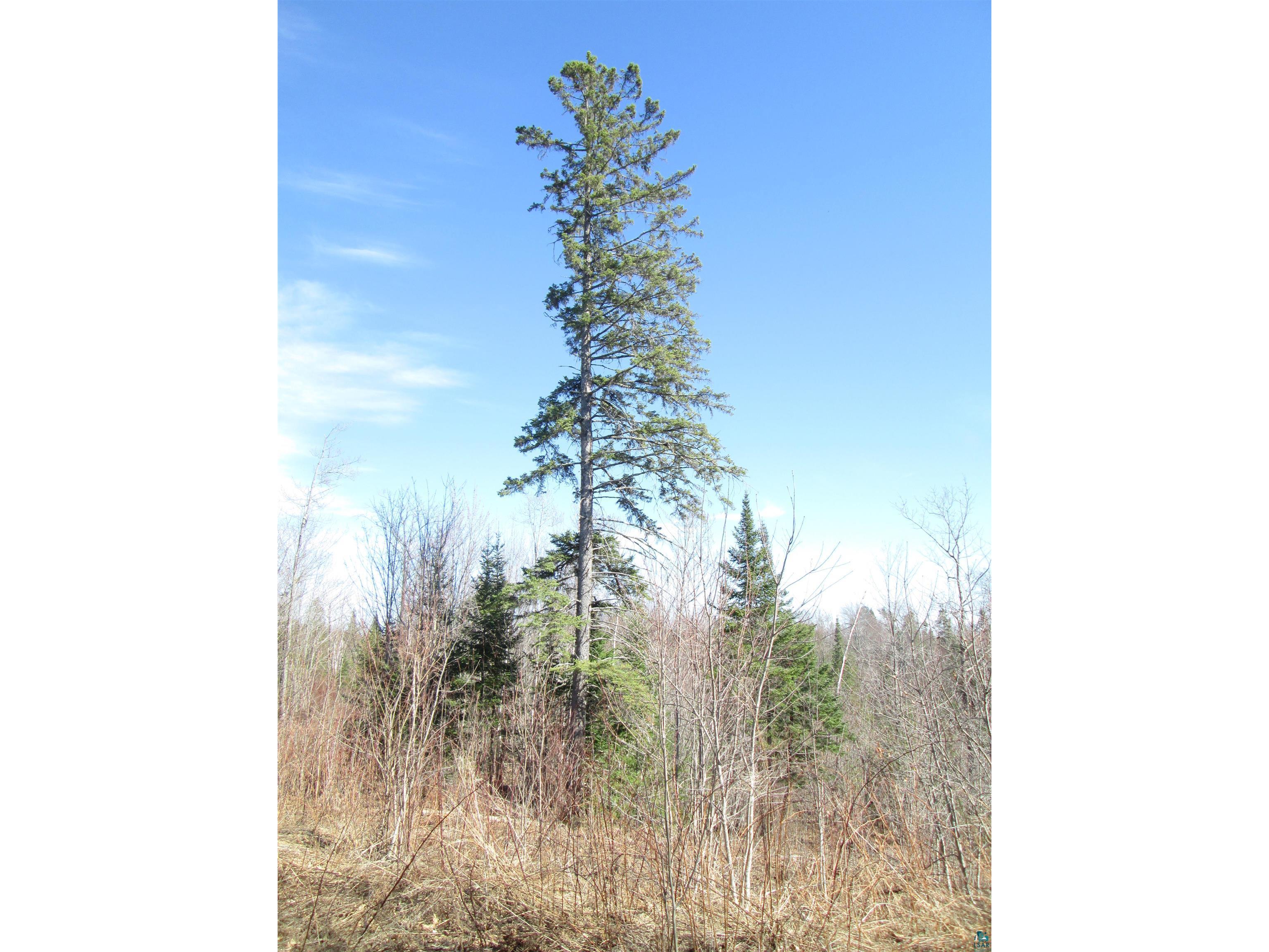 Lot 1 40 acres County Rd L South Range WI 54874 6123934 image22