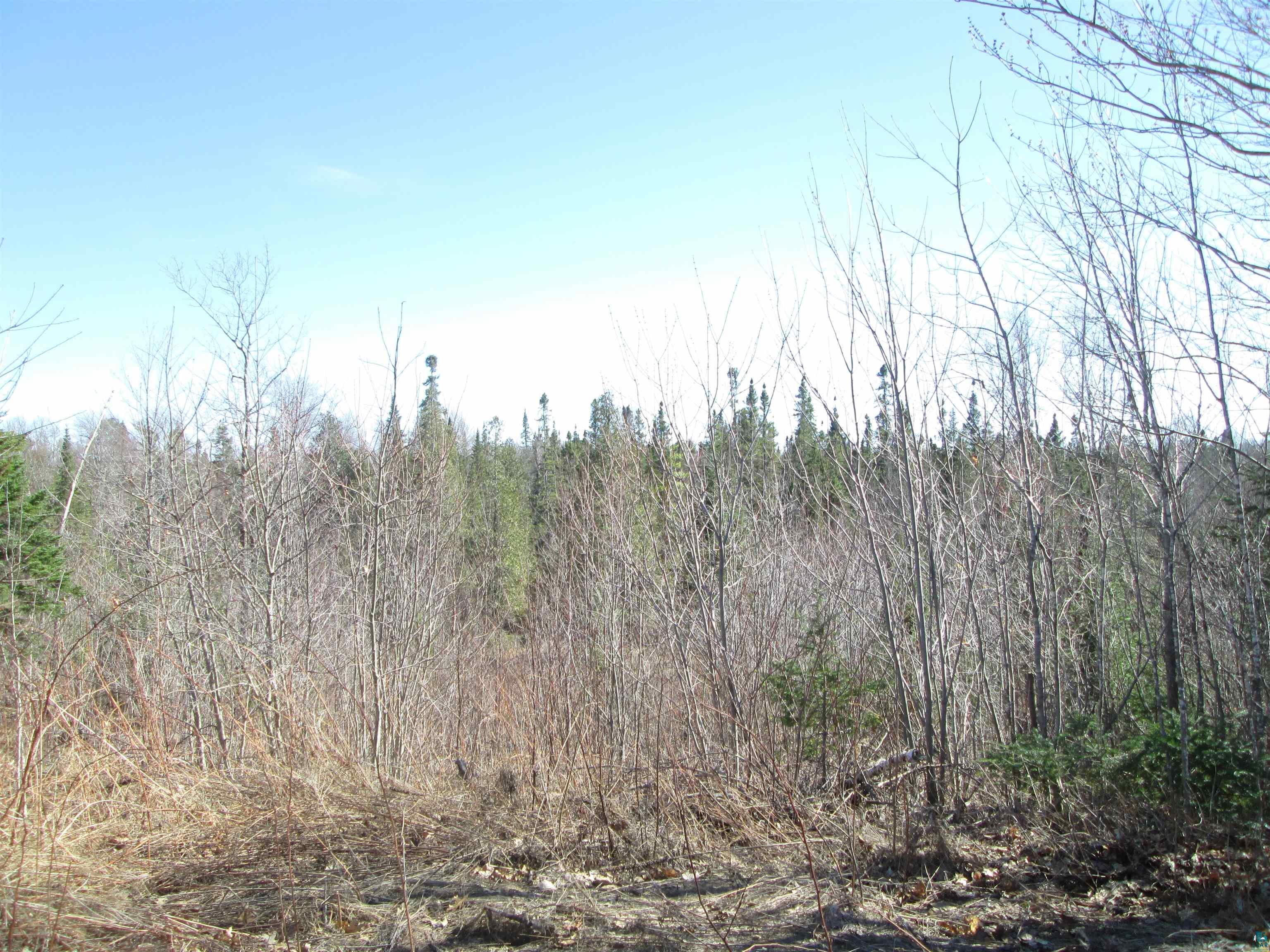 Lot 1 40 acres County Rd L South Range WI 54874 6123934 image23
