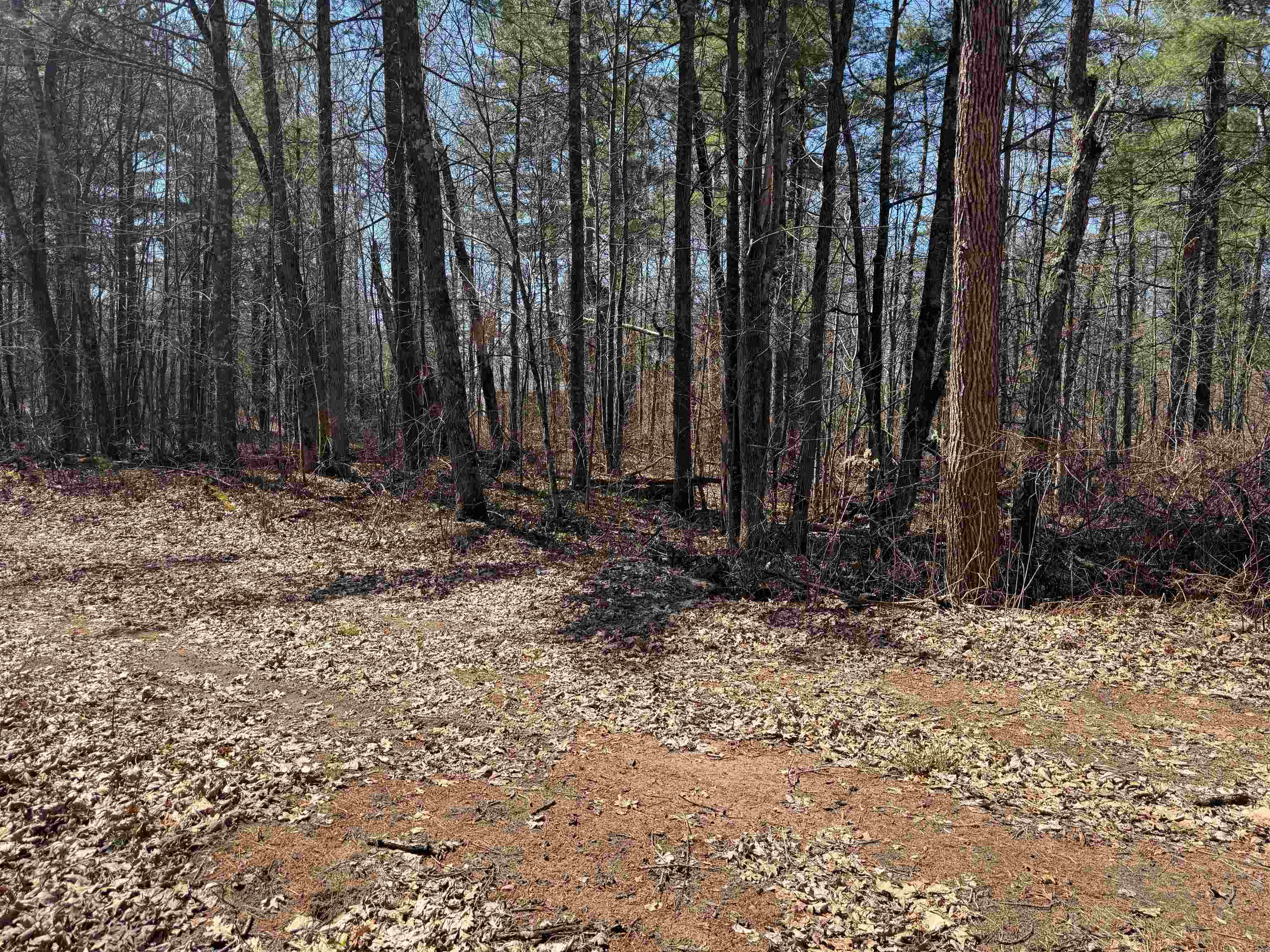 Lot 1 Gurno Lake Rd Hayward WI 54843 6118259 image24