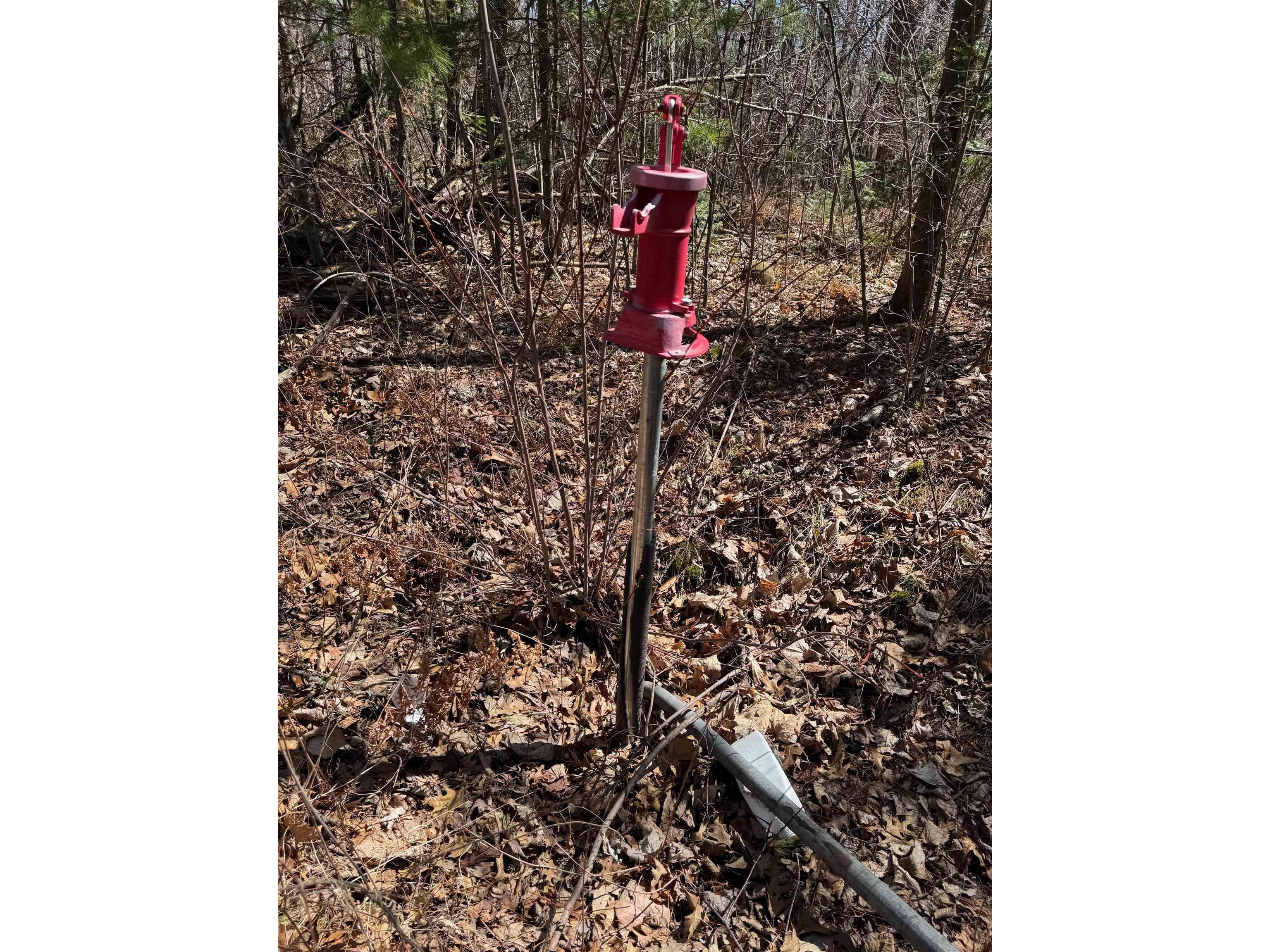 Lot 1 Gurno Lake Rd Hayward WI 54843 6118259 image27