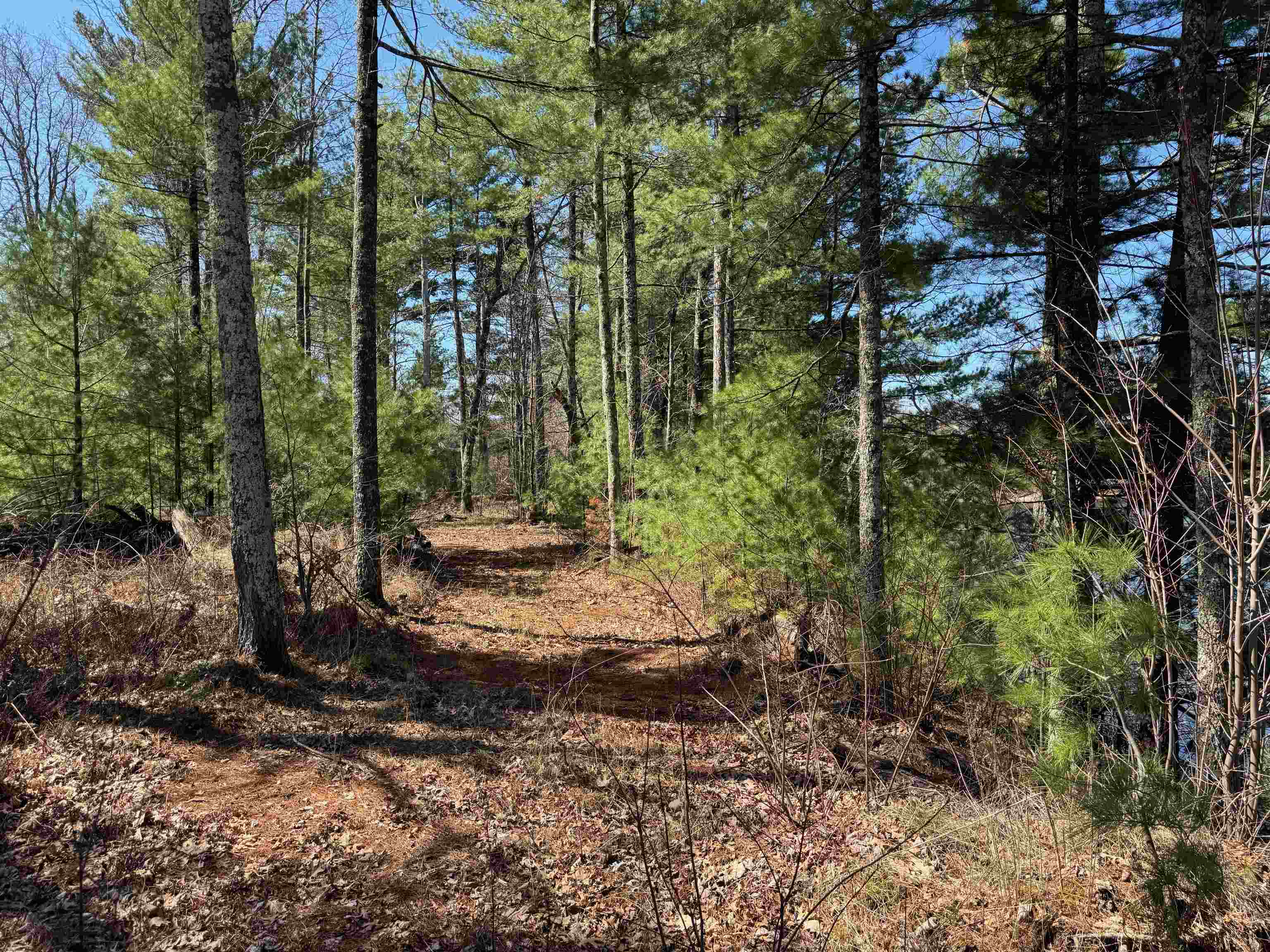 Lot 1 Gurno Lake Rd Hayward WI 54843 6118259 image41