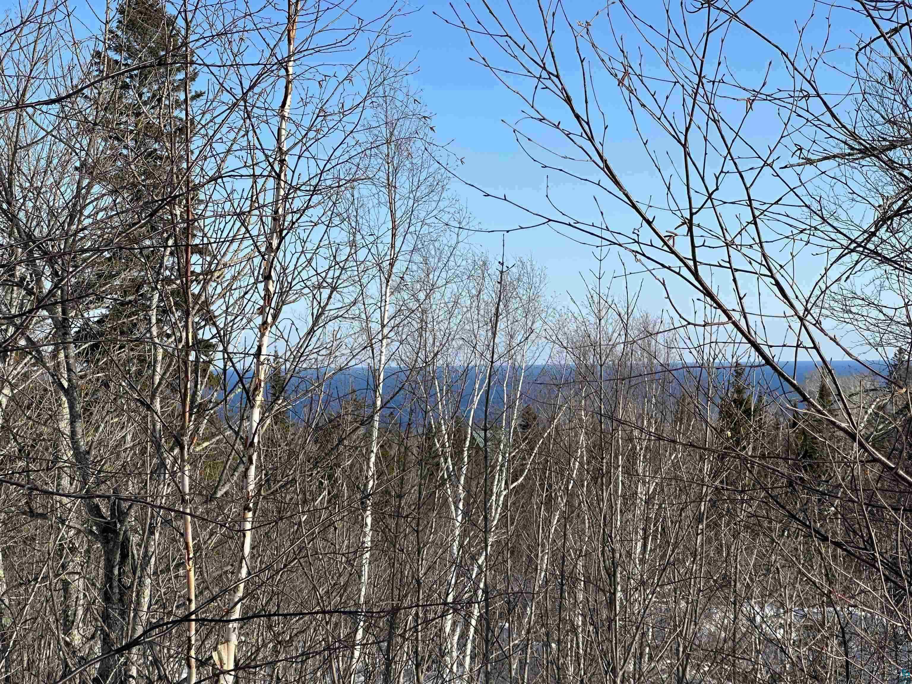 Lot 1 Maple Leaf Tr Lutsen MN 55612 6108091 image1