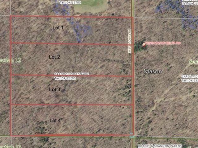 Lot 1 Mason Delta Rd Delta WI 54856 6123193 image1